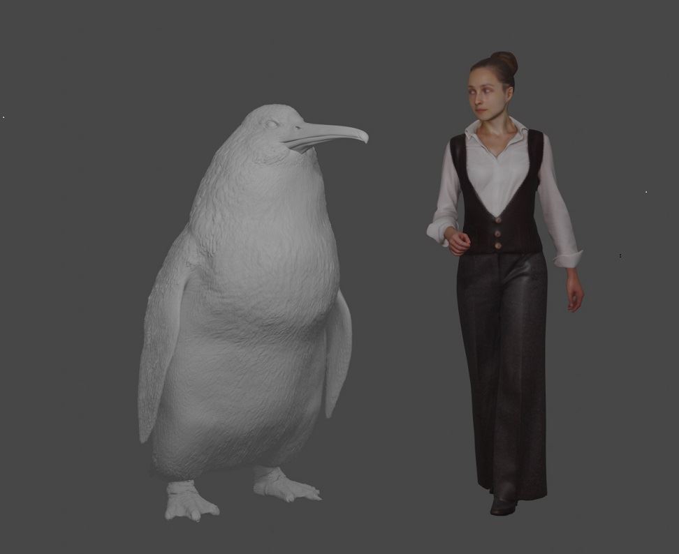 Fóssil de pinguim gigante descoberto na Nova Zelândia