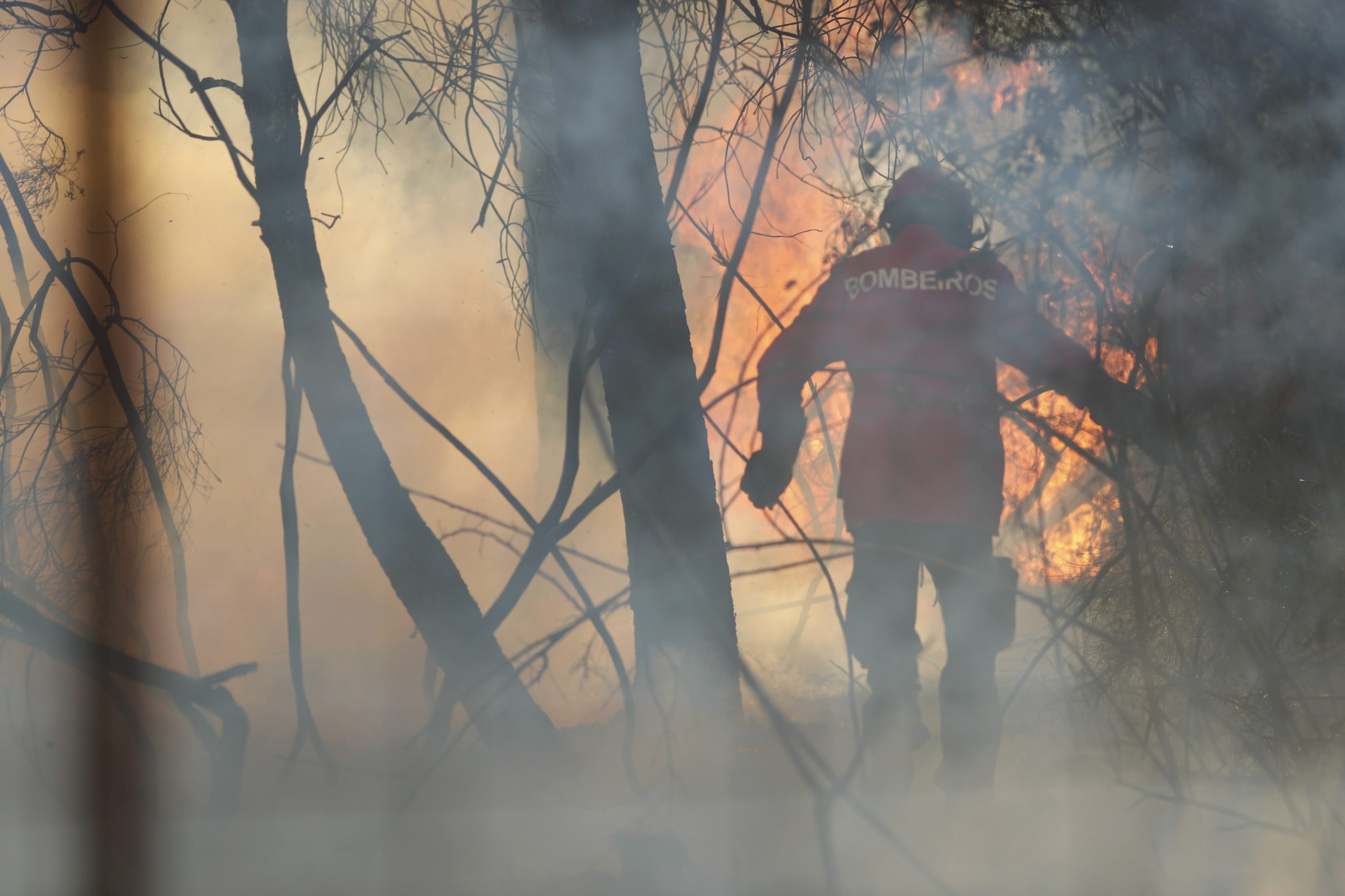 Incêndios: Autarca diz que vila de Carrazeda de Ansiães esteve “durante toda a tarde num perigo muito grande”