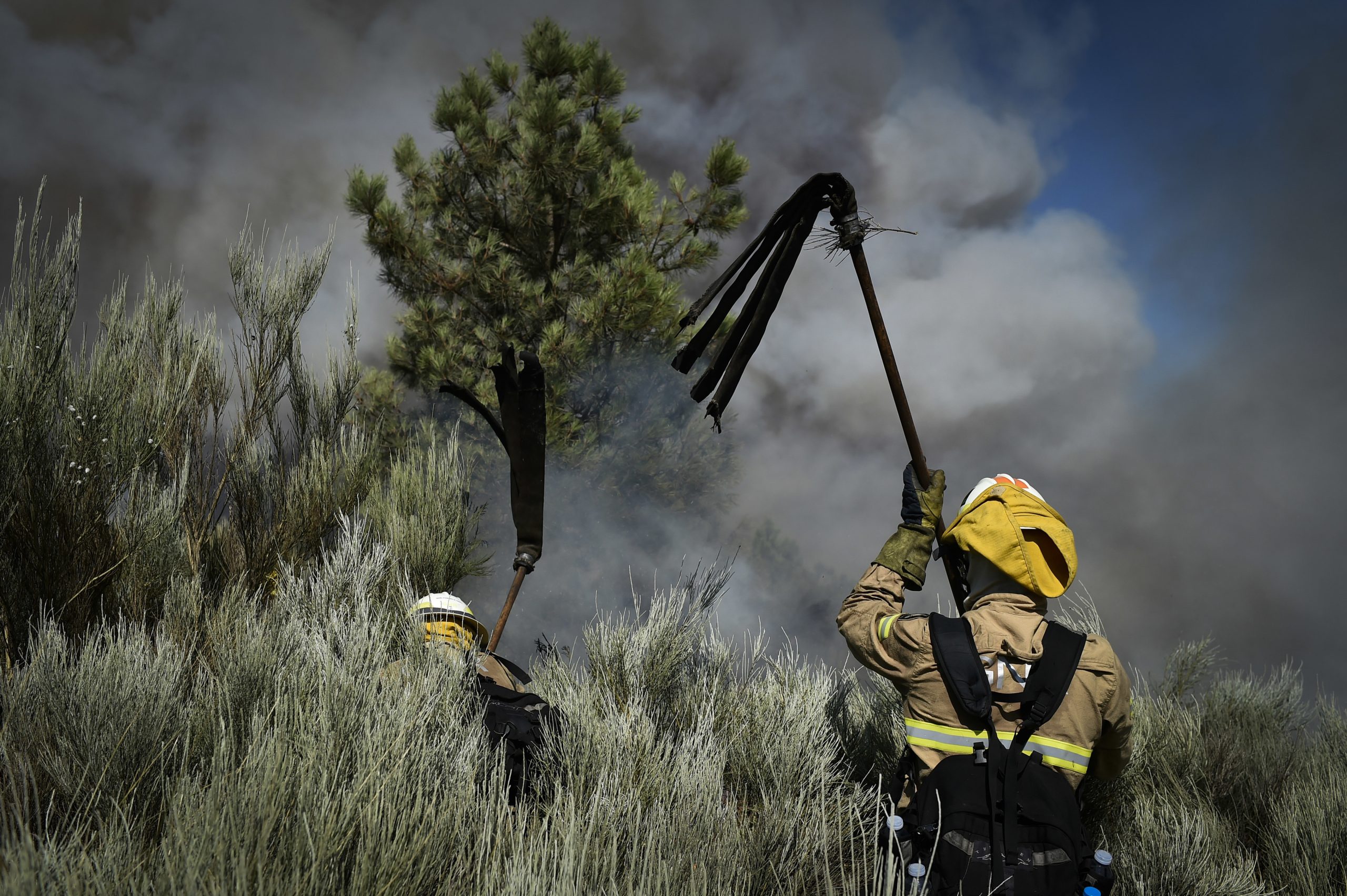 Incêndios: Fogo em Loures obriga ao corte da A8