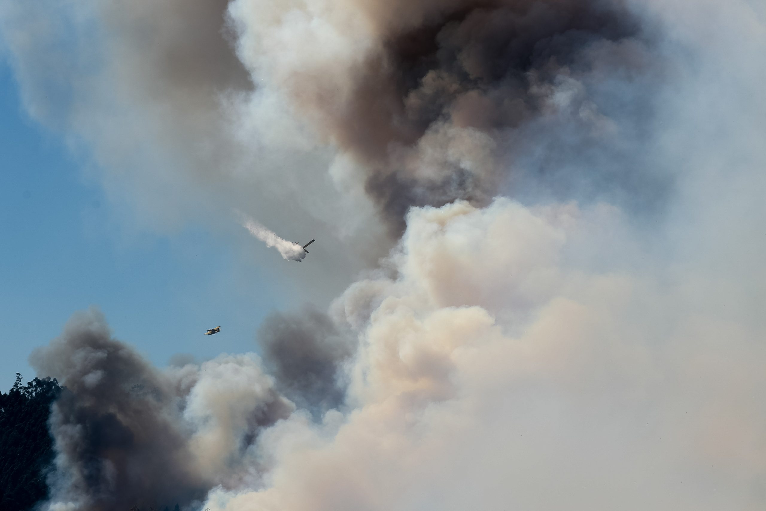 Incêndios: Fogo em Azeméis agrava-se com o vento e exigirá “particular atenção” à noite