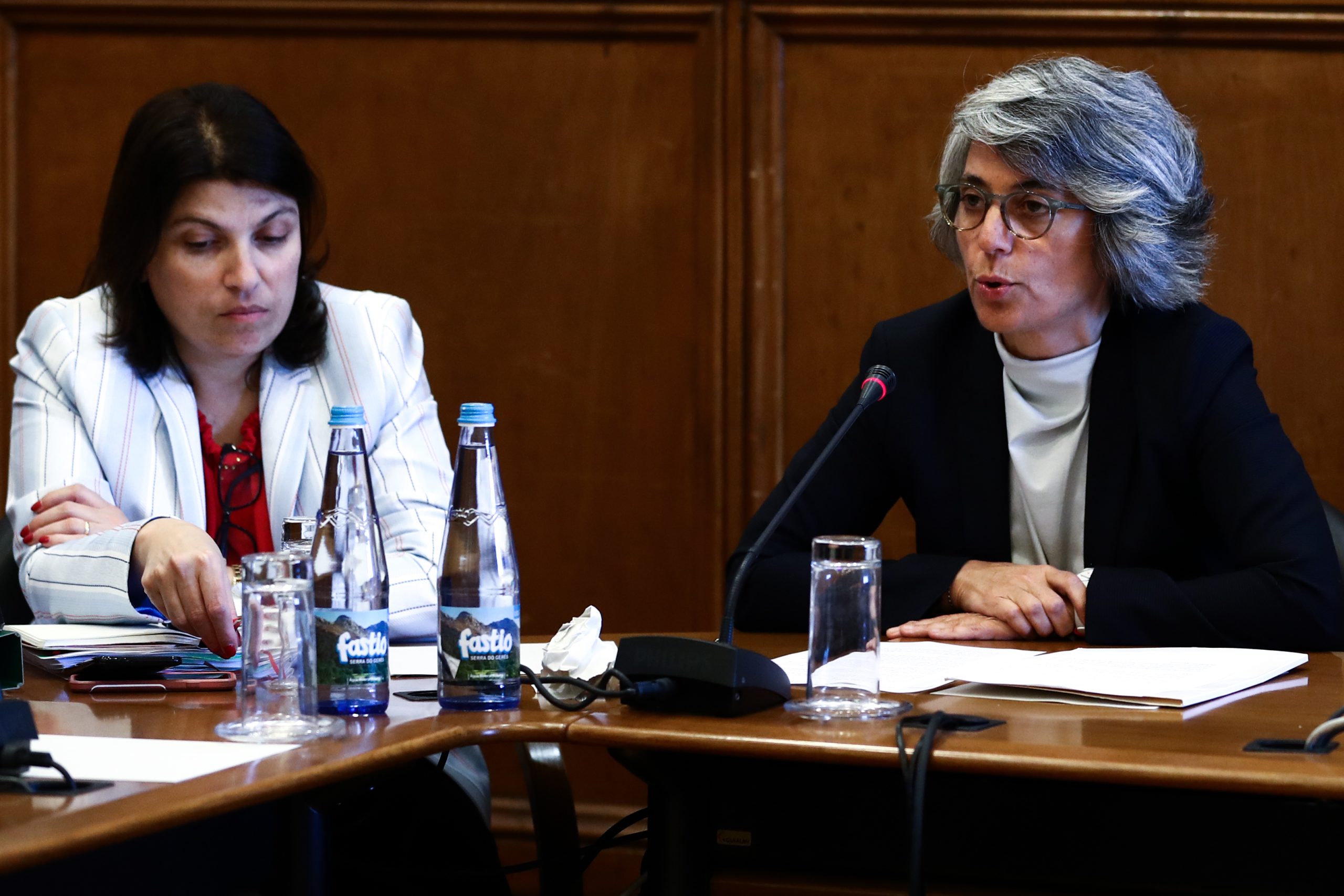 Ministra da Cultura quer concretizar PNArtes e Arquivo Sonoro nesta legislatura