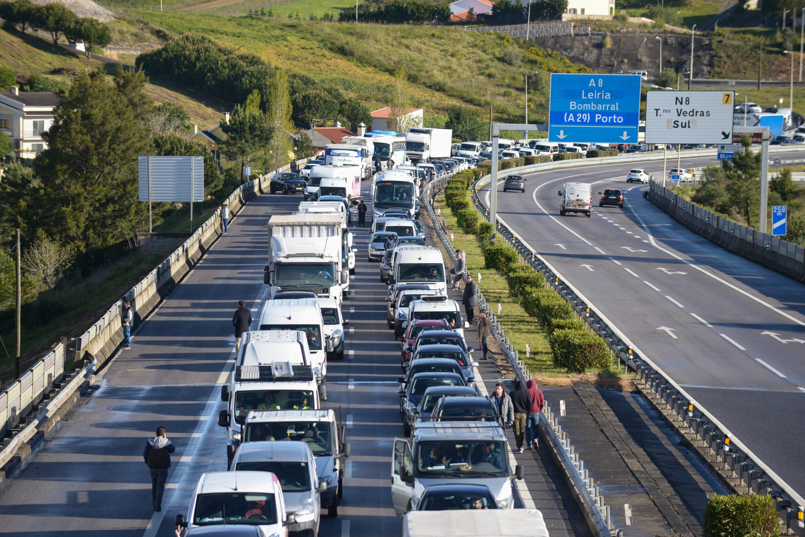 Quercus alerta que A8 pode abater se avançar mina entre Alcobaça e Nazaré