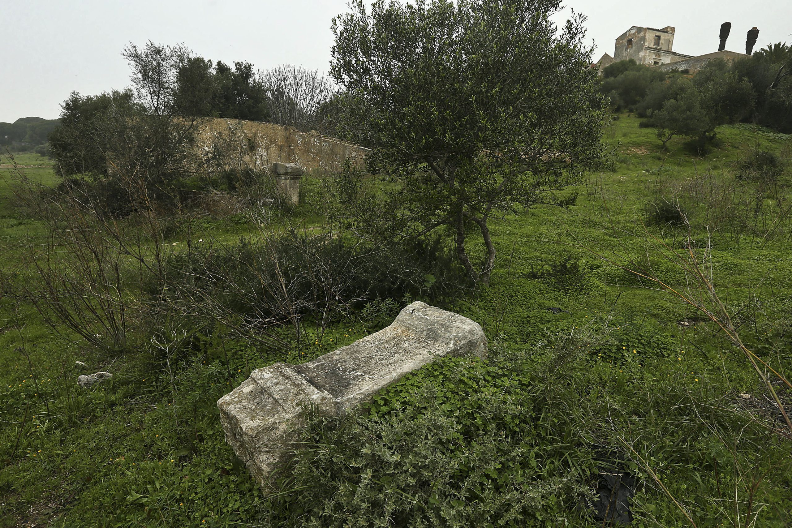 Plano Estratégico turístico de Tavira aponta rumo para concelho mais sustentável