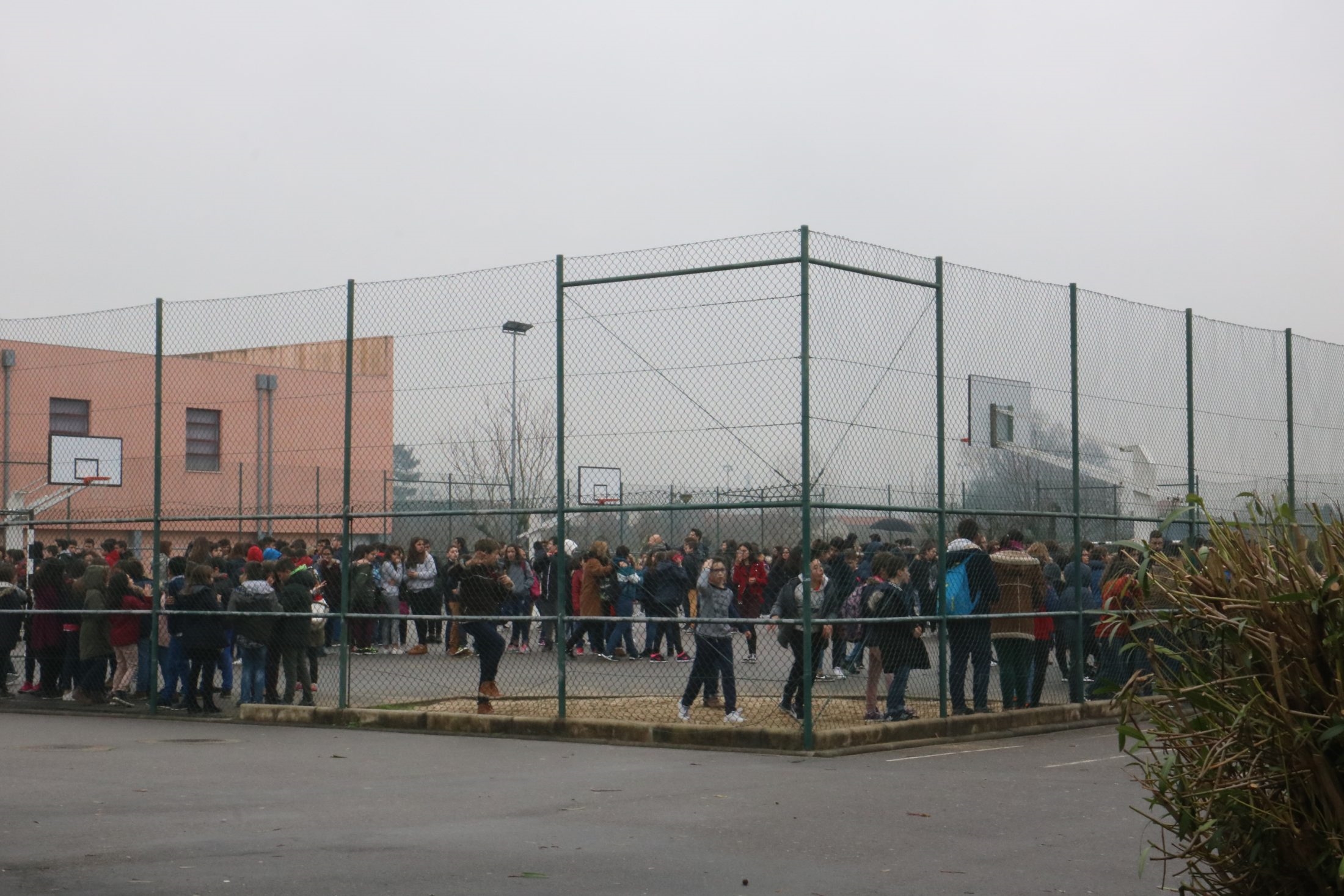 Centenas de alunos açorianos em jogos para defesa e preservação da floresta