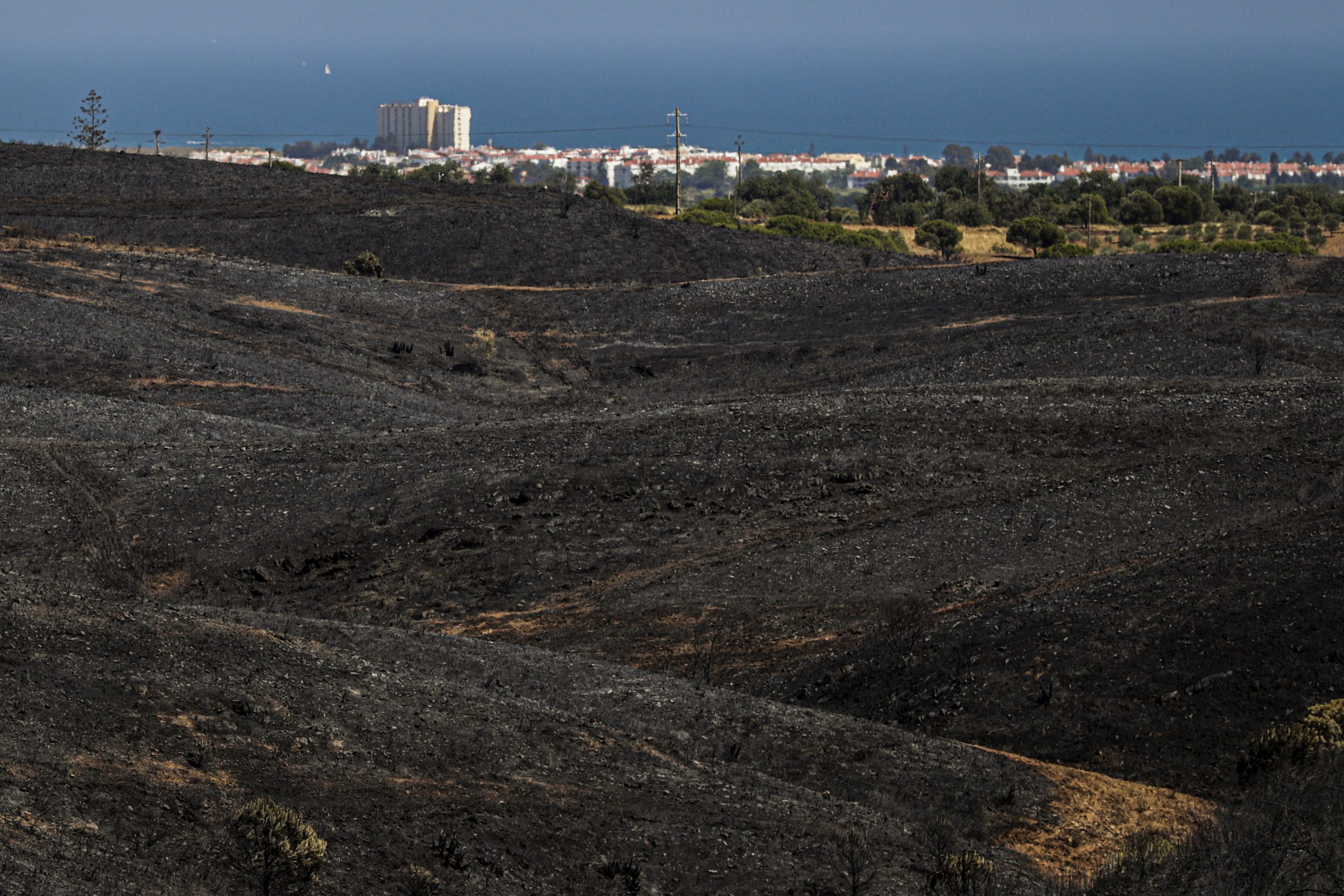 Incêndios: Dados provisórios revelam que área ardida mais que duplicou em duas semanas
