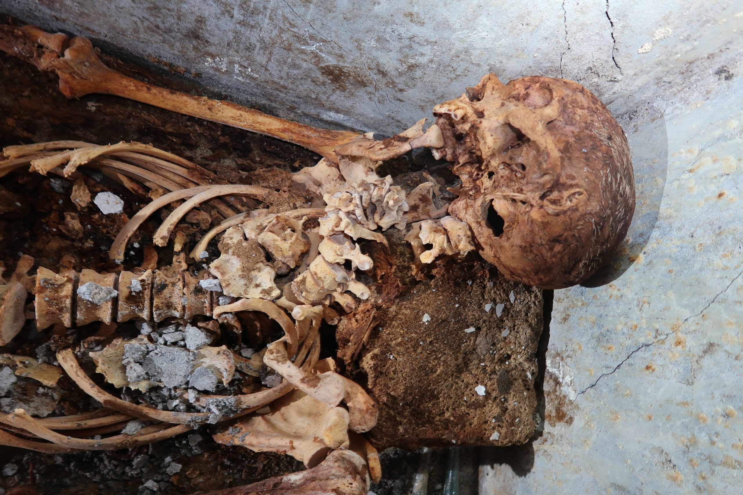 Pompeia continua a revelar segredos. Foram encontrados os restos mortais mais bem conservados até à data na cidade romana