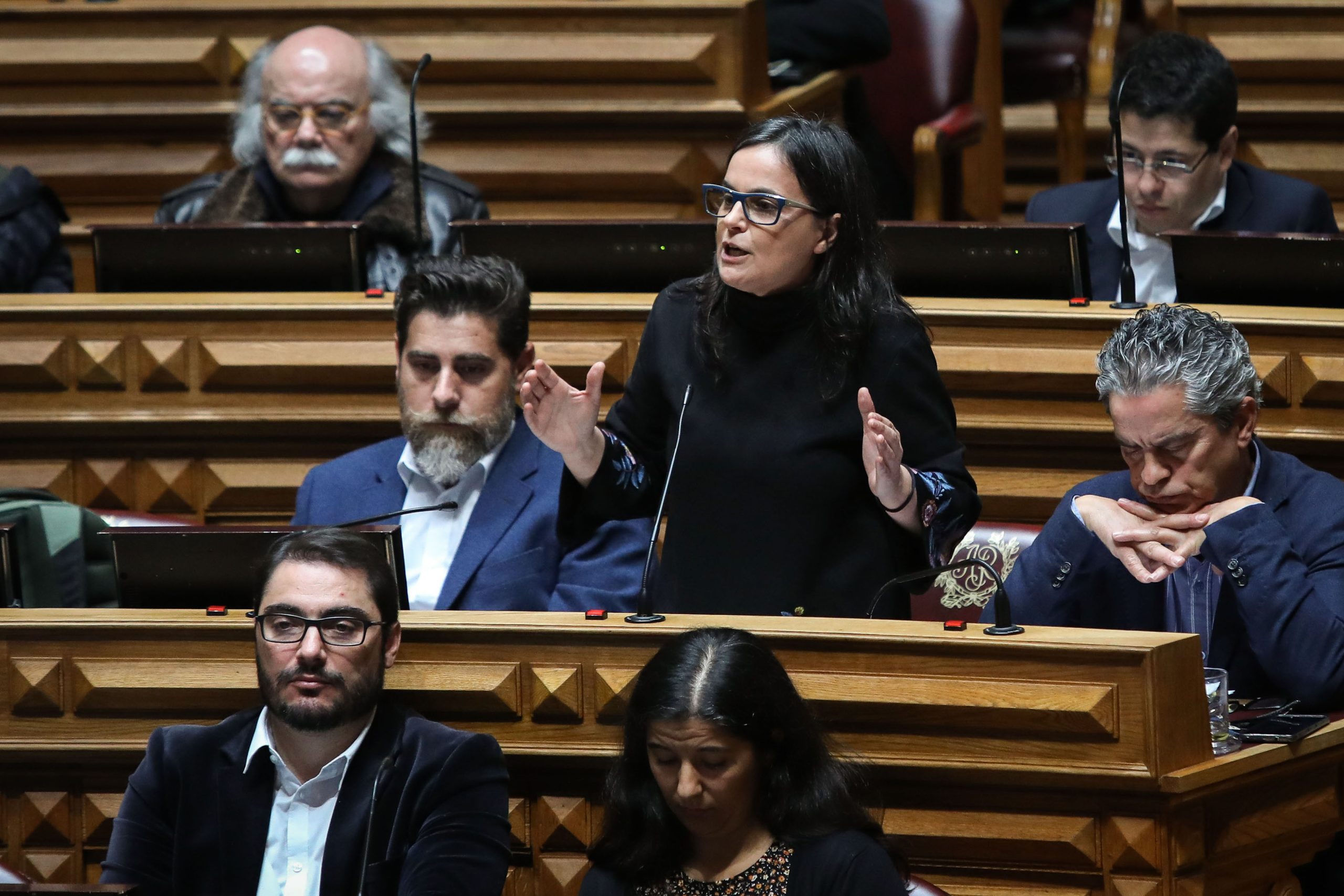 Canábis: PCP não apoia projetos do BE e do PAN para uso terapêutico