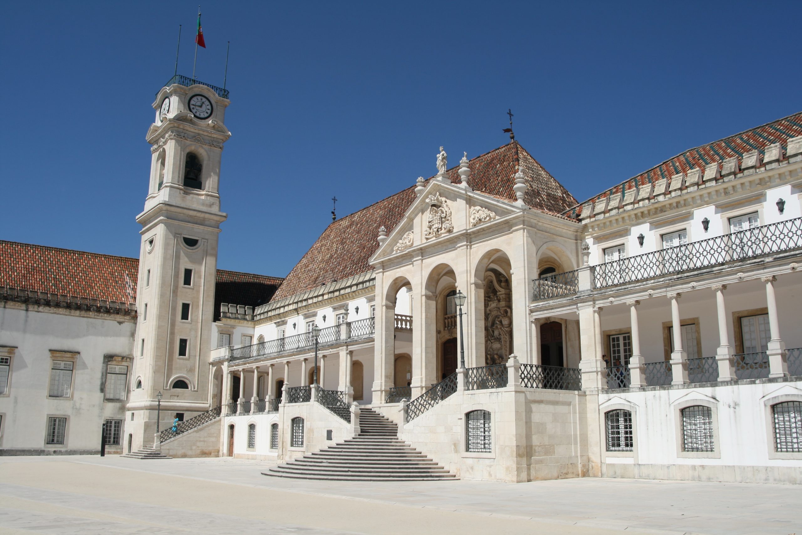 Universidade de Coimbra lança livro para identificação de abelhas de Portugal