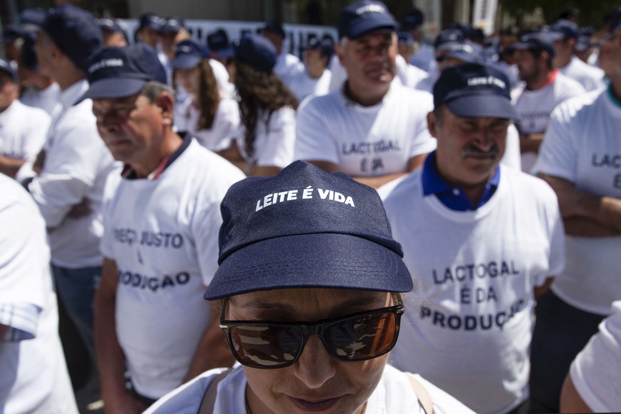Produtores de leite denunciam fecho de 160 explorações este ano