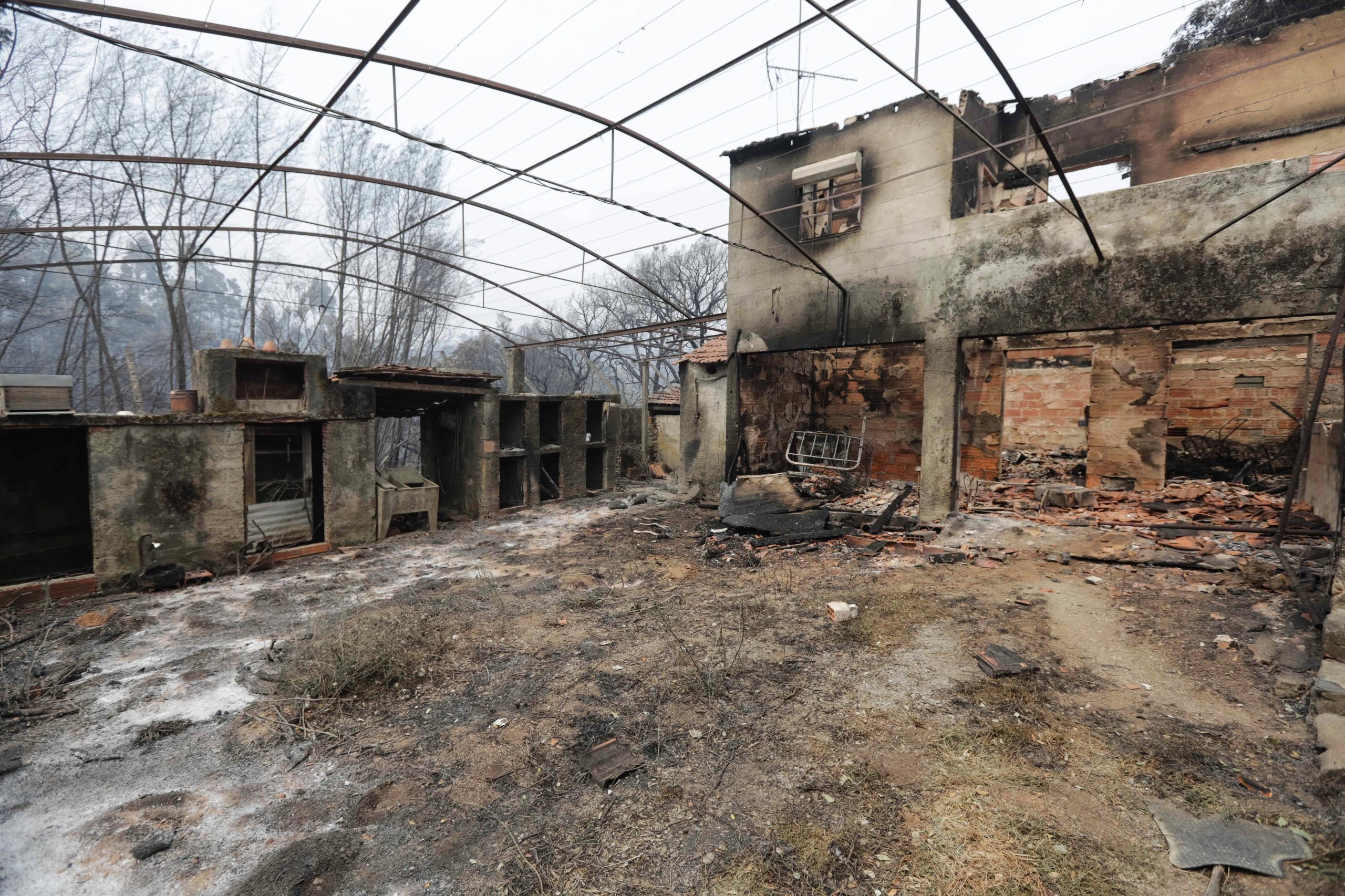 Investigador acusa Comissão de Dados de “censurar” capitulo de relatório sobre incêndios