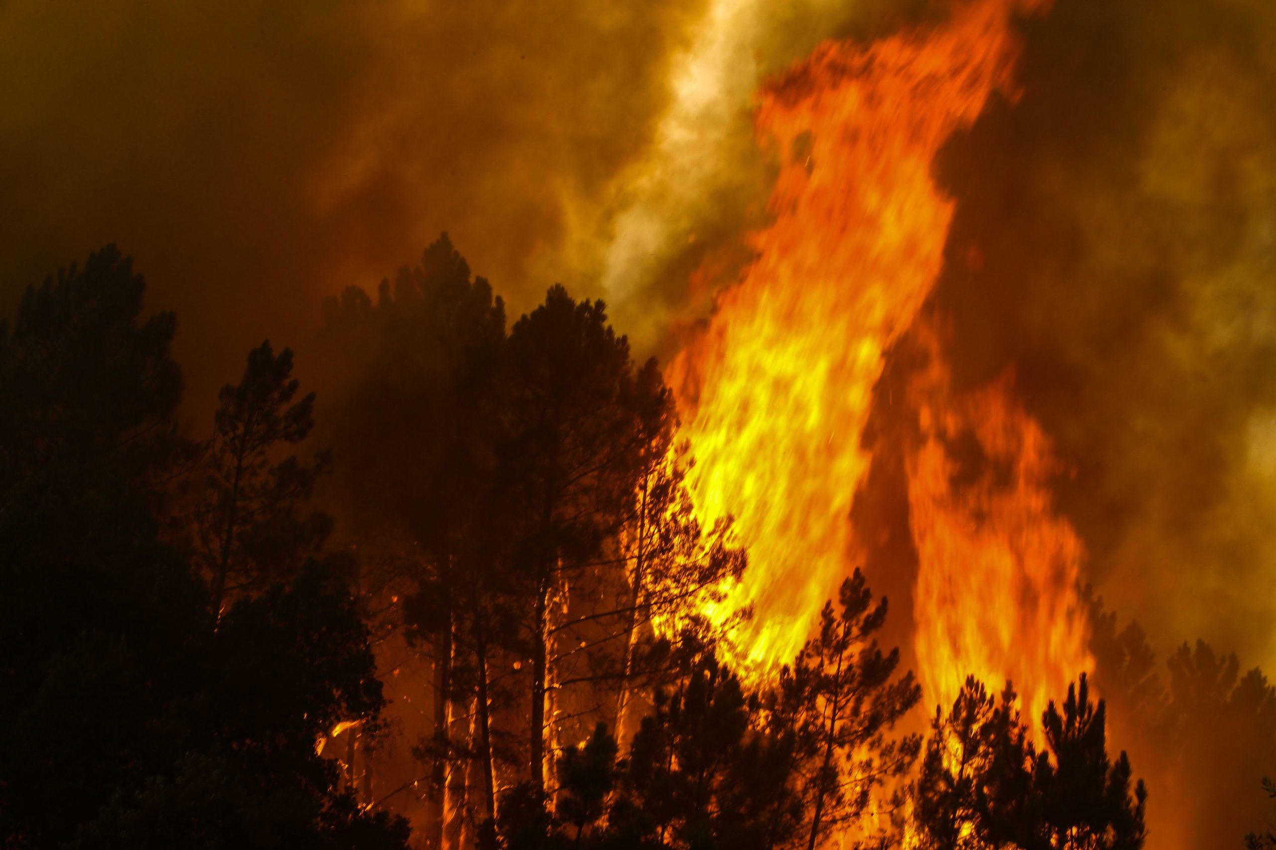 Já foram detidos três incendiários nas últimas 48 horas