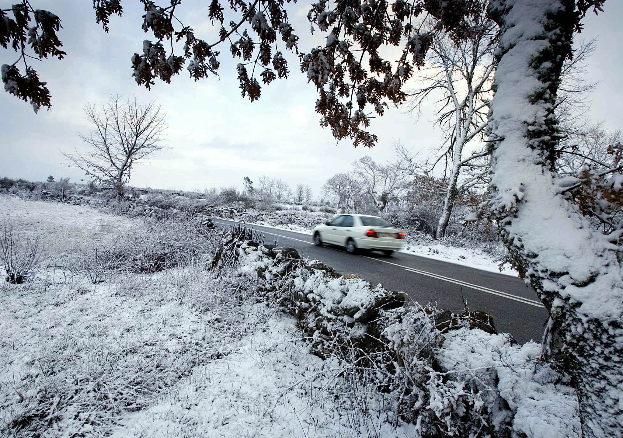 Mau tempo: Neve corta duas estradas no norte do distrito de Viseu