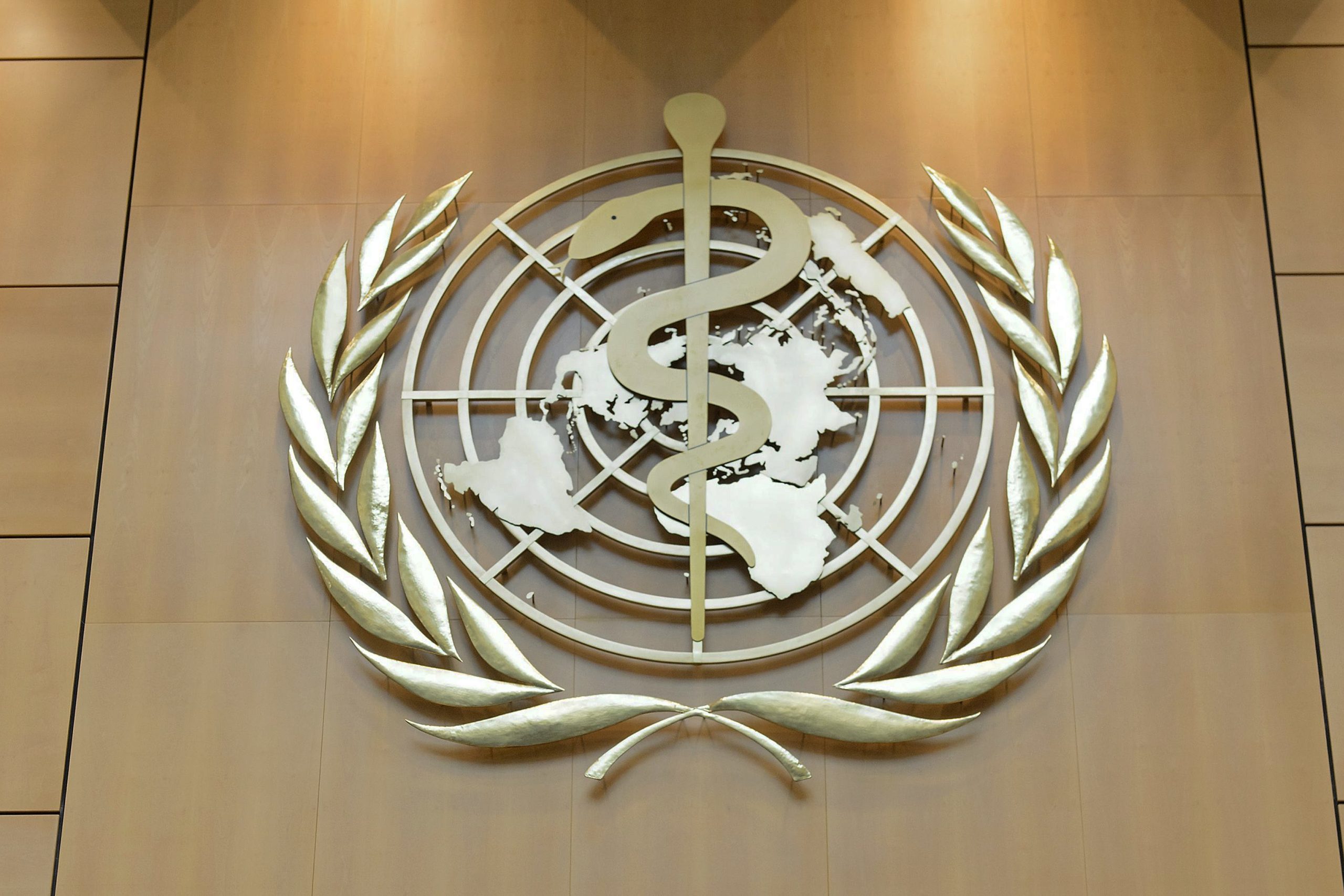 União Africana e OMS pedem medidas urgentes contra a tuberculose