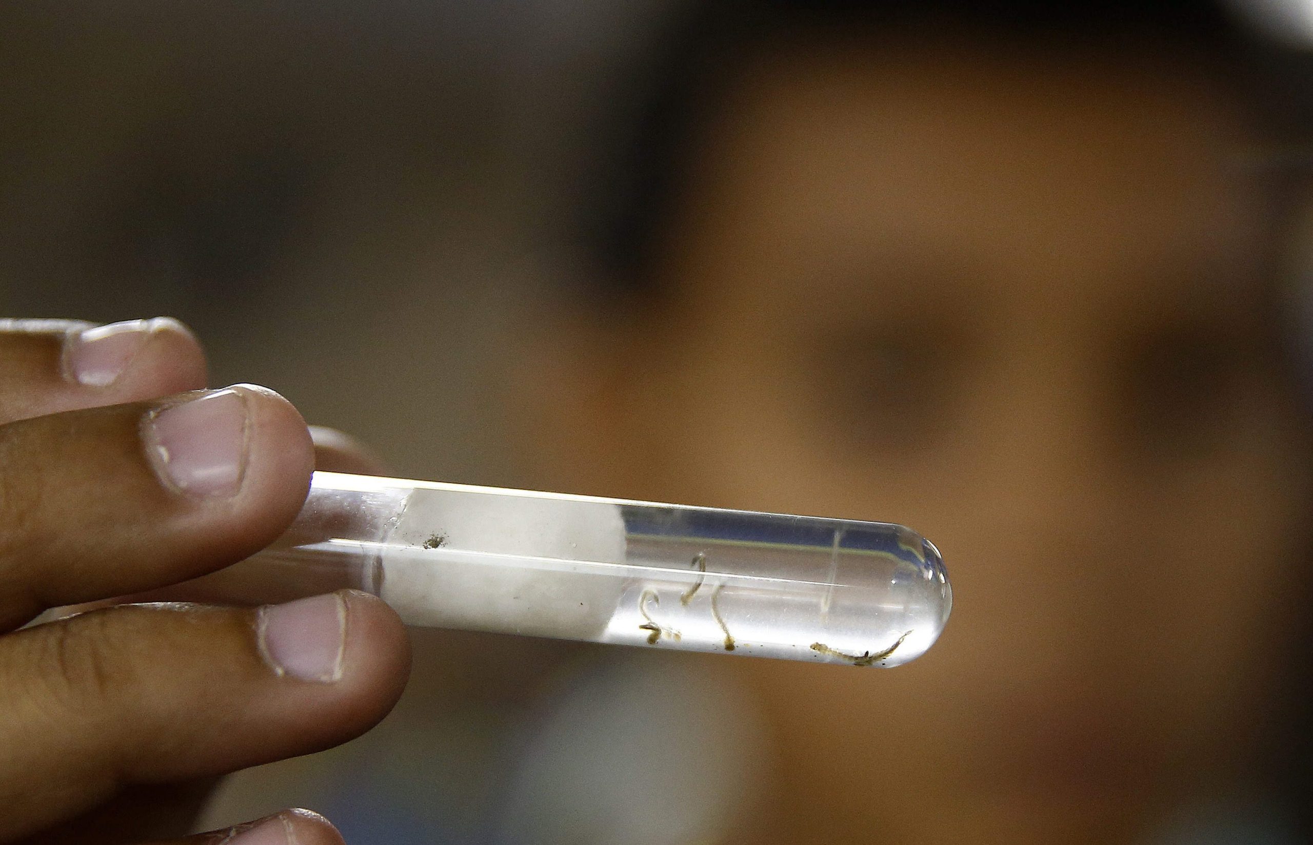 Zika e Ébola são doenças de notificação obrigatória a partir de hoje