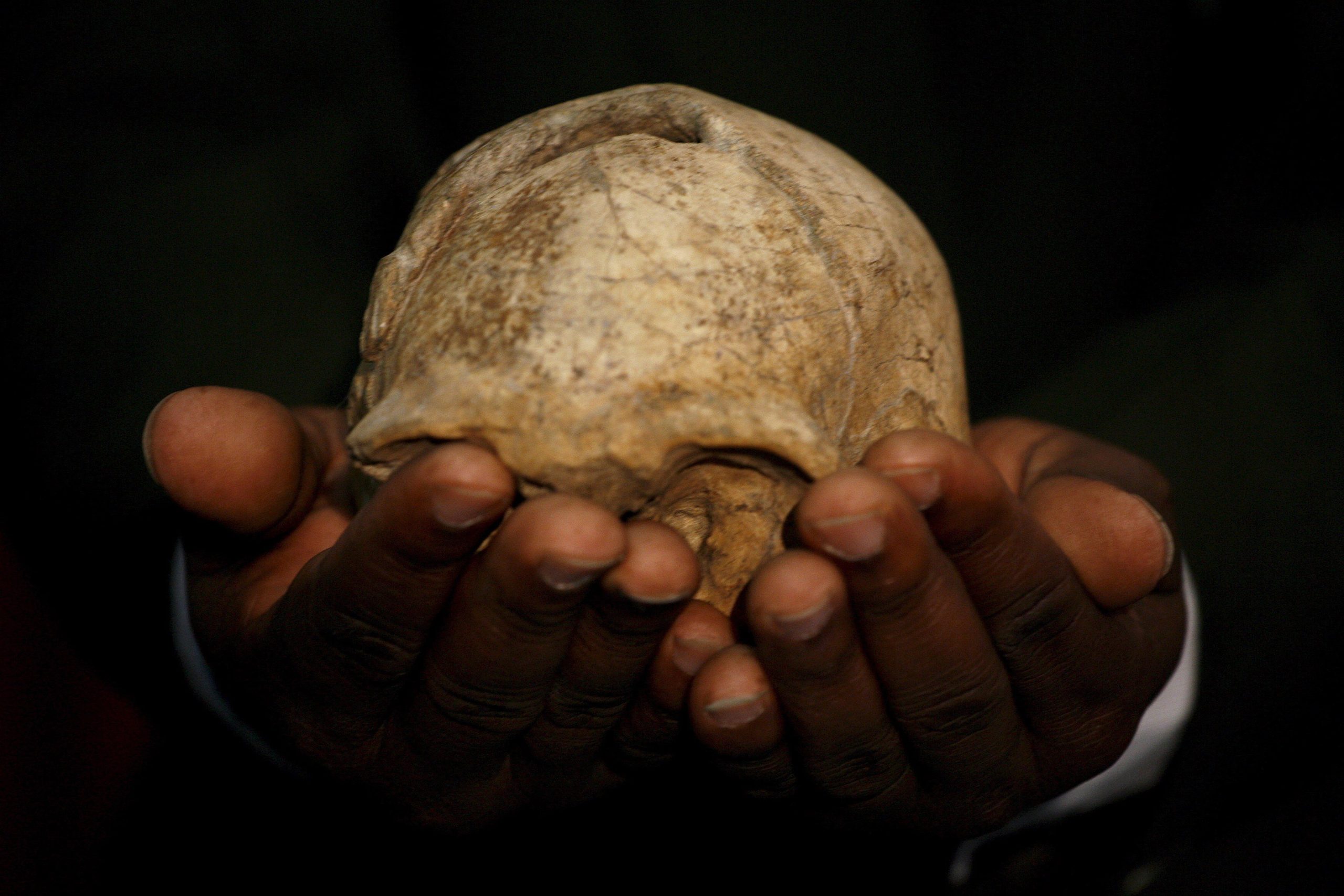 Homo Sapiens chegou à Europa muito mais cedo do que relatado, revela estudo