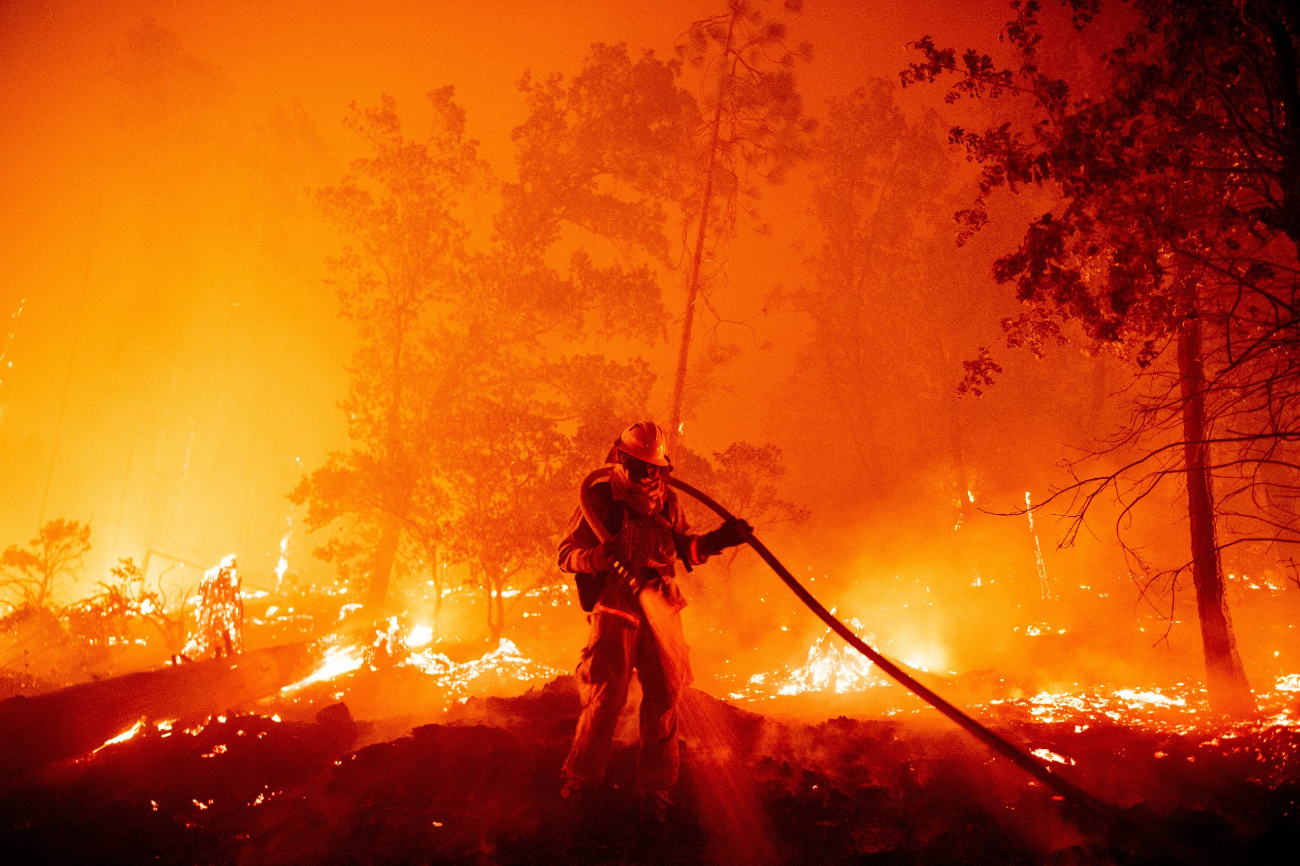 Incêndios na Califórnia obrigam à retirada de milhares de residentes