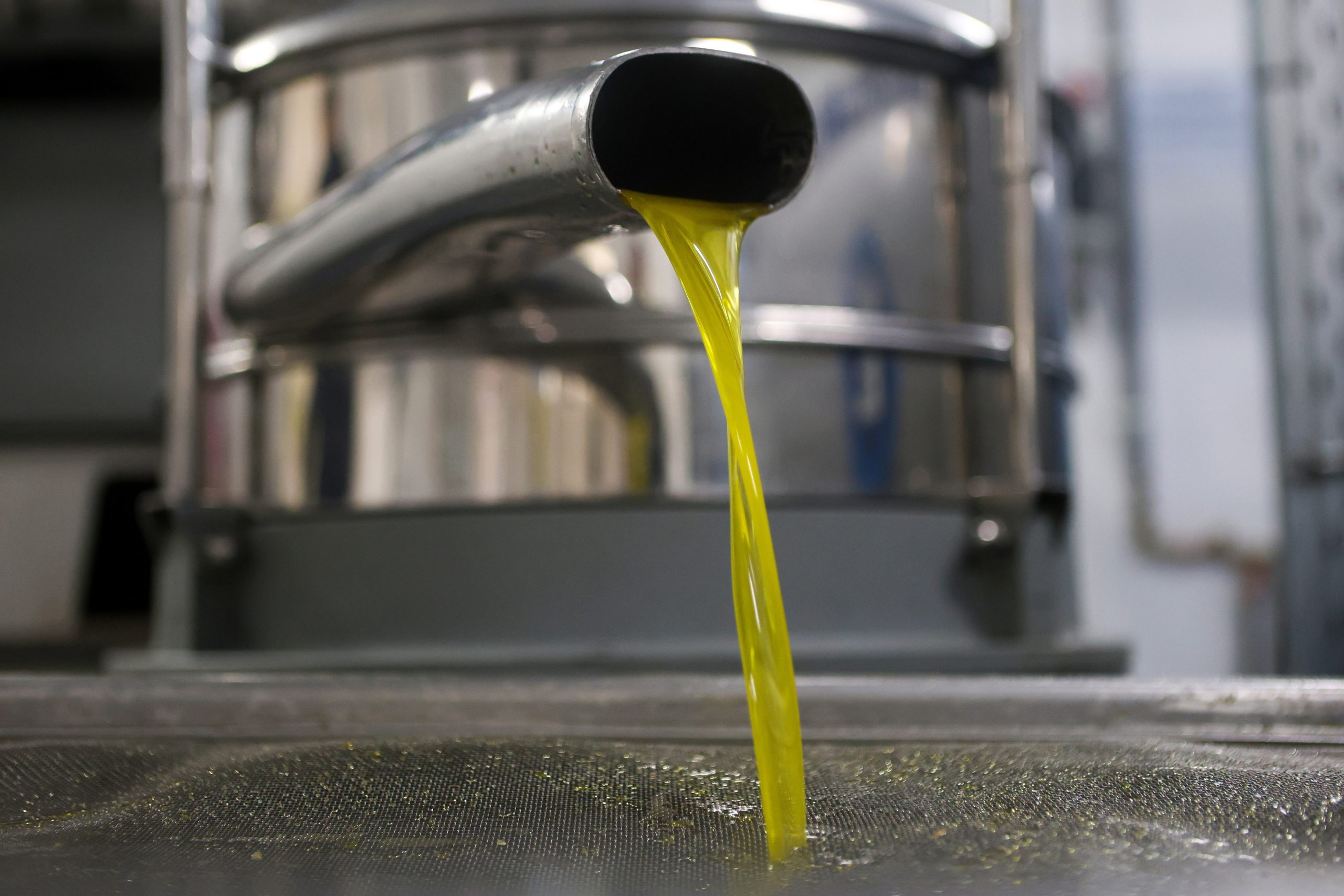 Preços do azeite influenciam excedente de comércio agroalimentar da UE