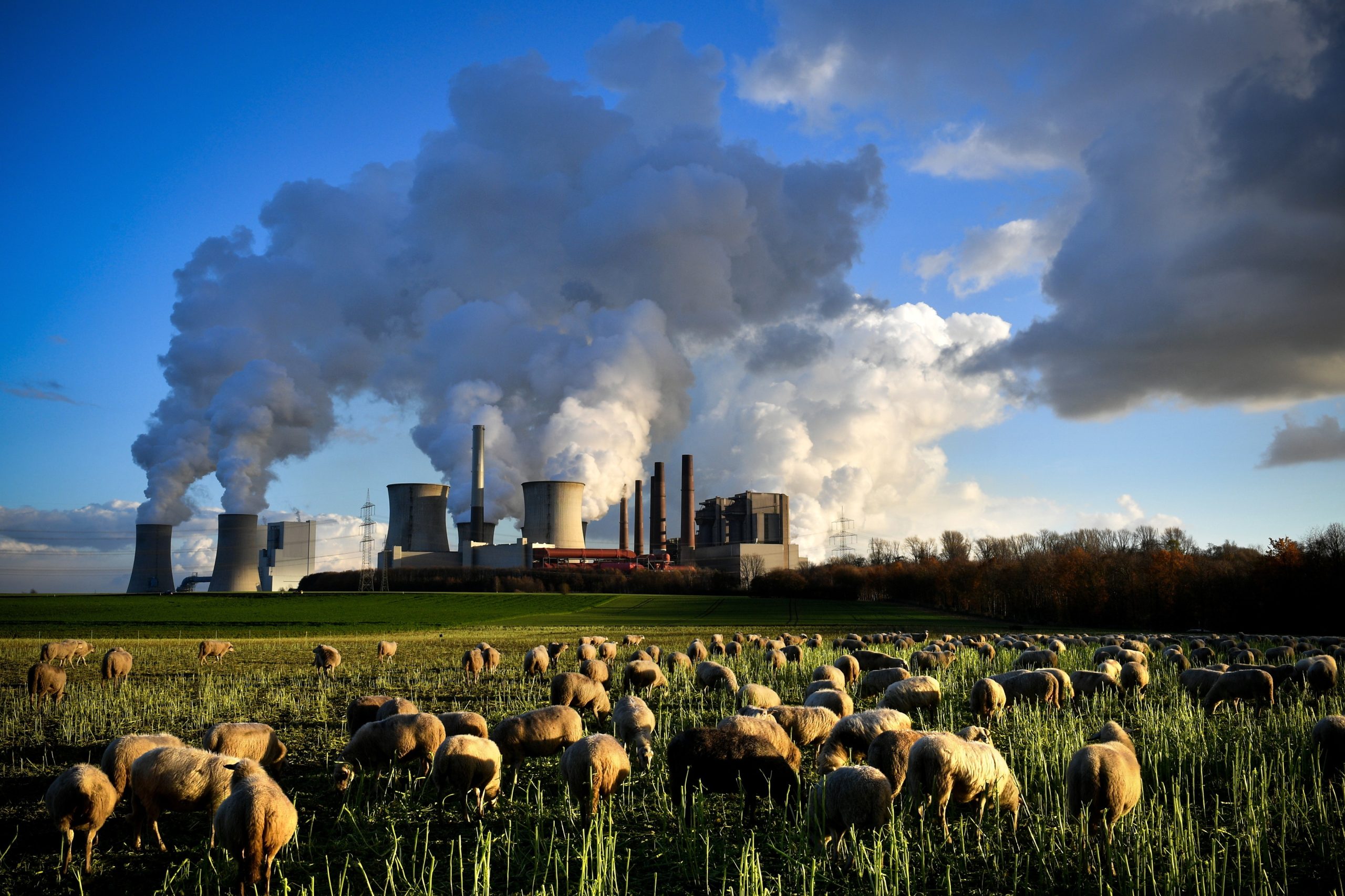 COP24: Emissões de CO2 têm diminuido, mas 2017 e 2018 contrariam tendência