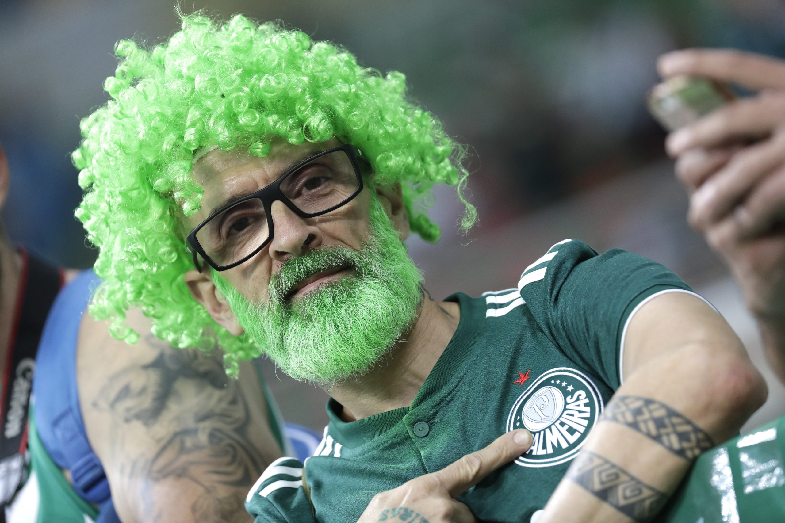 Adepto Palmeiras Adepto Palmeiras