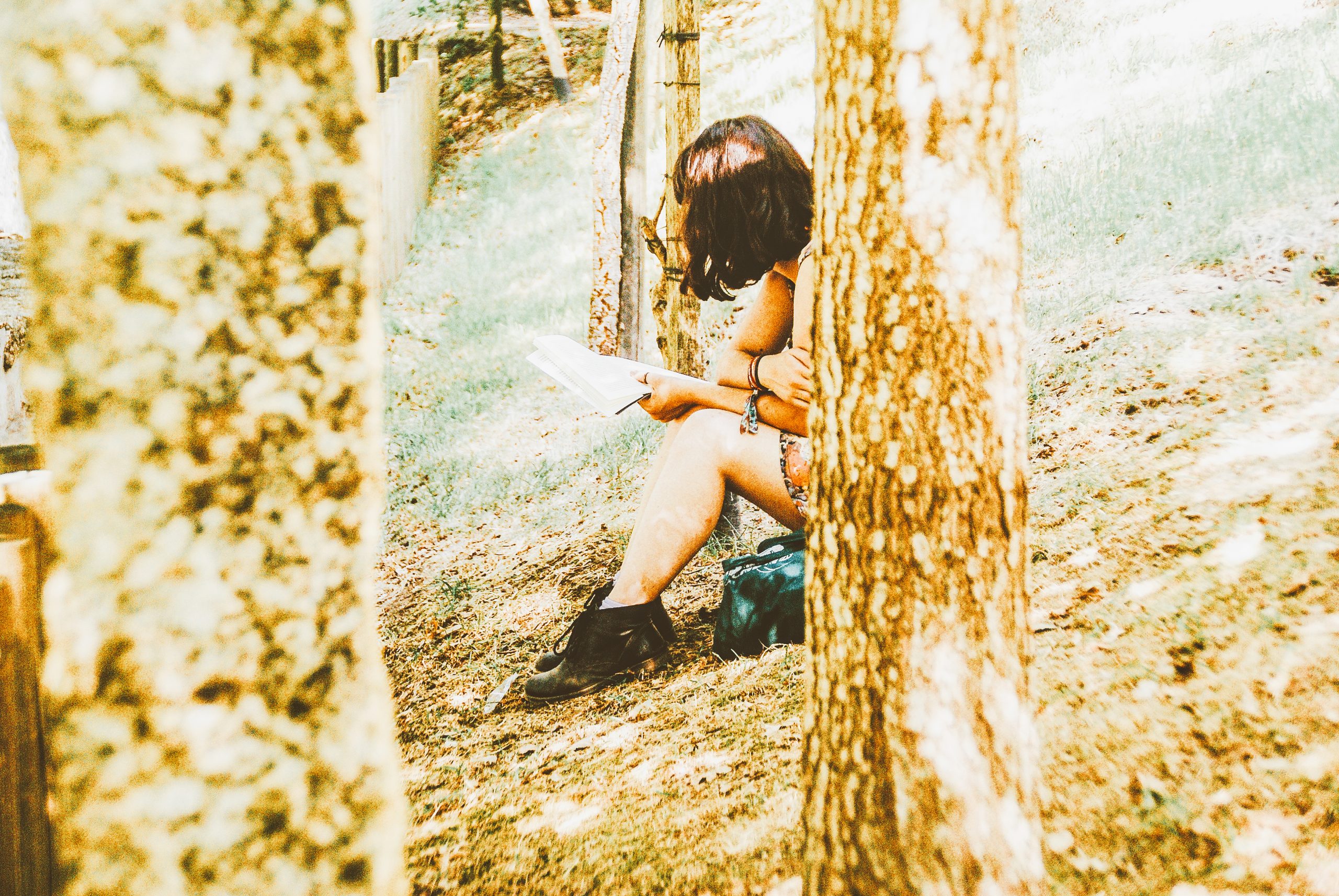 Rodellus, o festival para quem não tem medo do campo