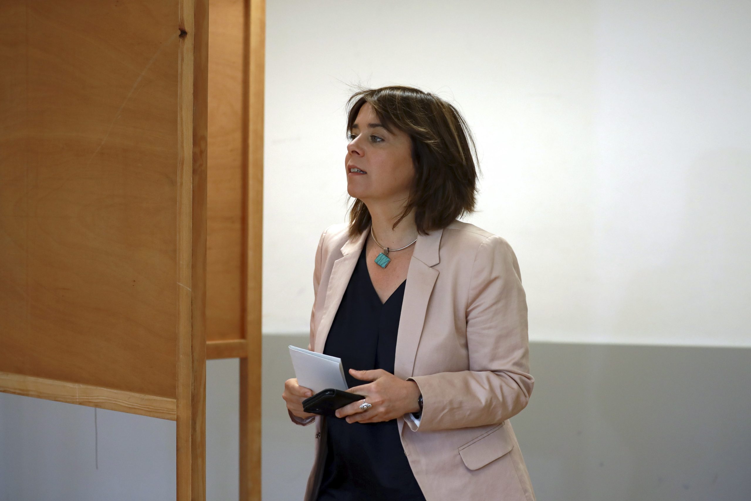 Lei de Bases de Saúde: BE diz que proposta de alteração do PS deixa PPP “na mesma”