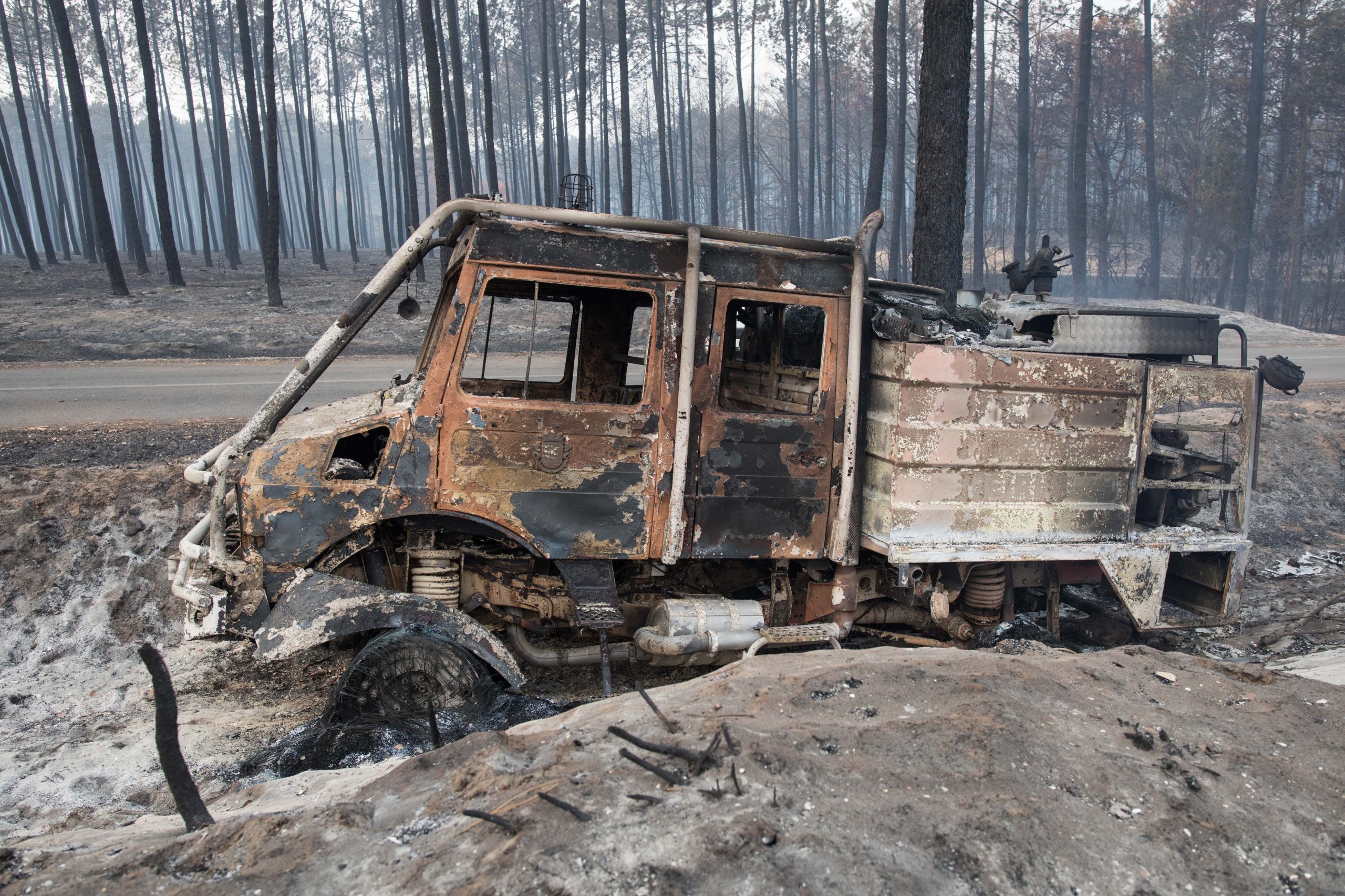 Incêndios: Mais de 300 candidaturas de agricultores com prejuízos acima dos cinco mil euros