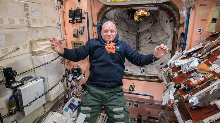 Há um gorila à solta na Estação Espacial Internacional?