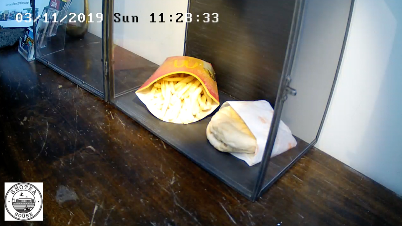 Na Islândia, um ‘cheeseburger’ é uma peça de museu. E pode ser visto em live streaming