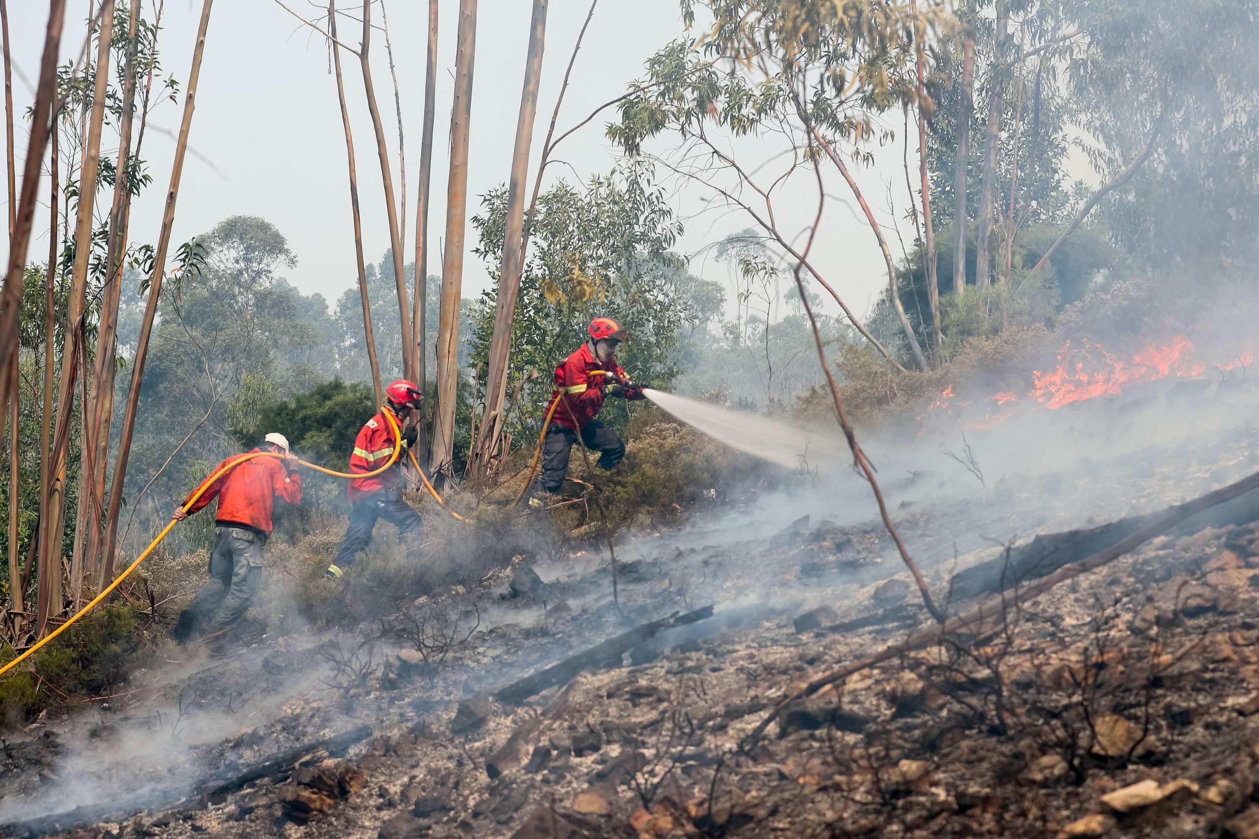 Incêndios: Autarca de Vila Pouca de Aguiar considera que ‘kit’ distribuído é inútil