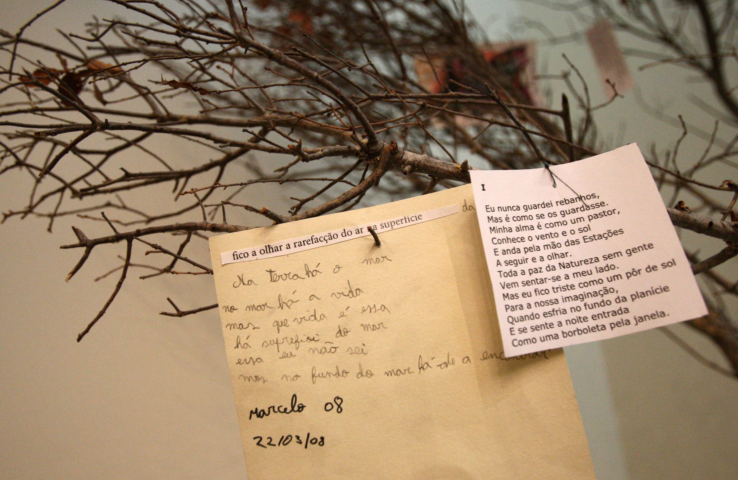 Dia da Poesia celebra-se com leituras, conferências, música e exposições