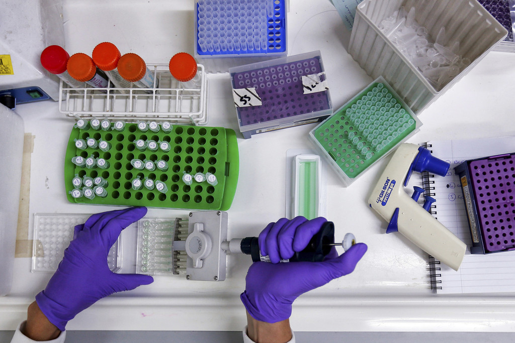 Irlanda investiga caso de diagnósticos errados a mulheres com cancro