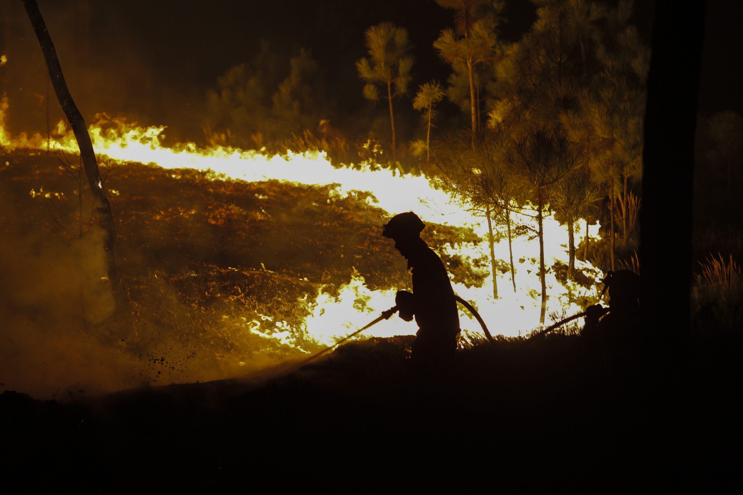 Incêndios: A23 cortada na zona do Fundão devido ao fogo, aldeia de Castelo Novo rodeada