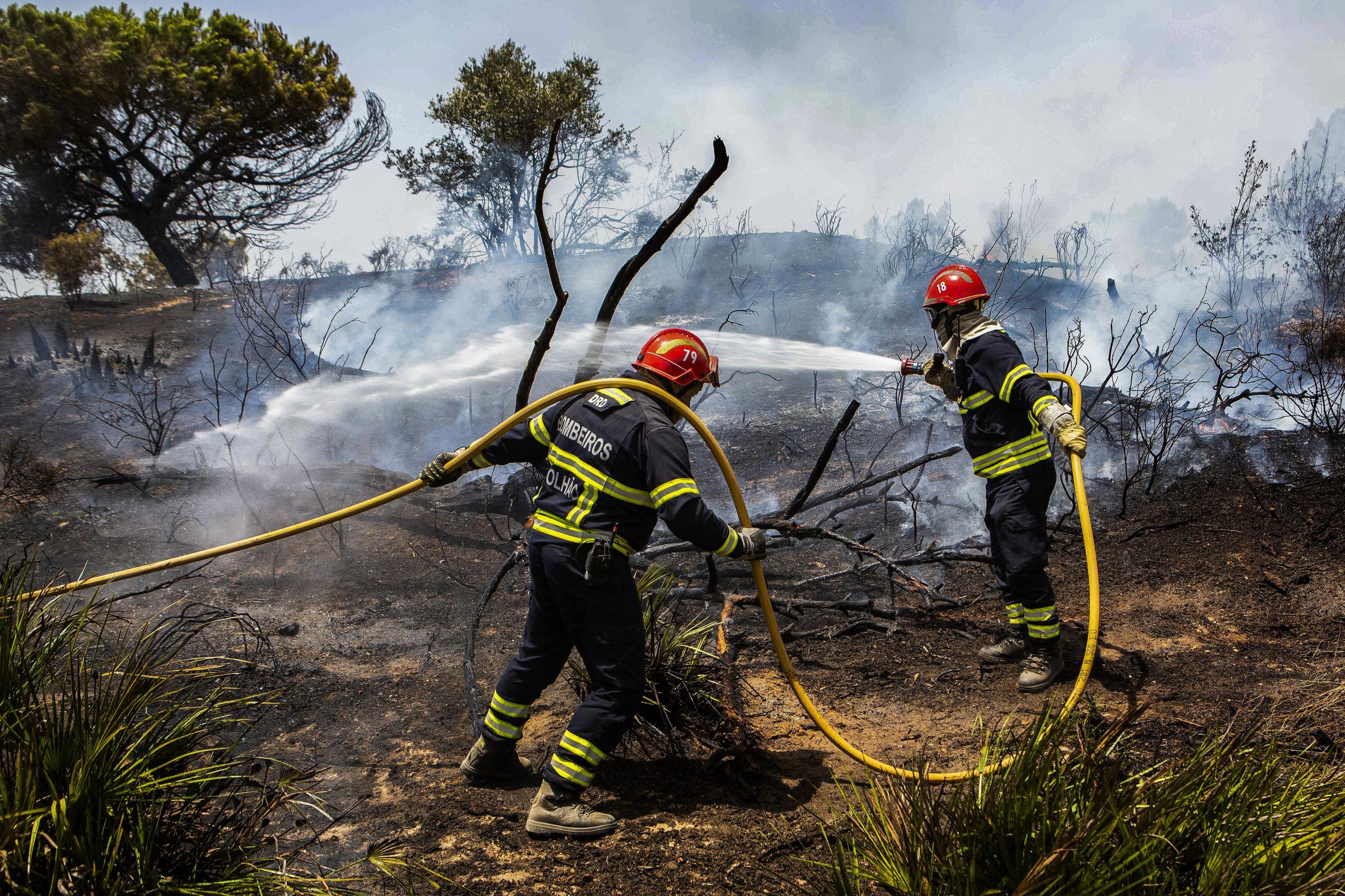 Incêndios: Mais de 90% do perímetro do fogo em consolidação em Vila Pouca de Aguiar