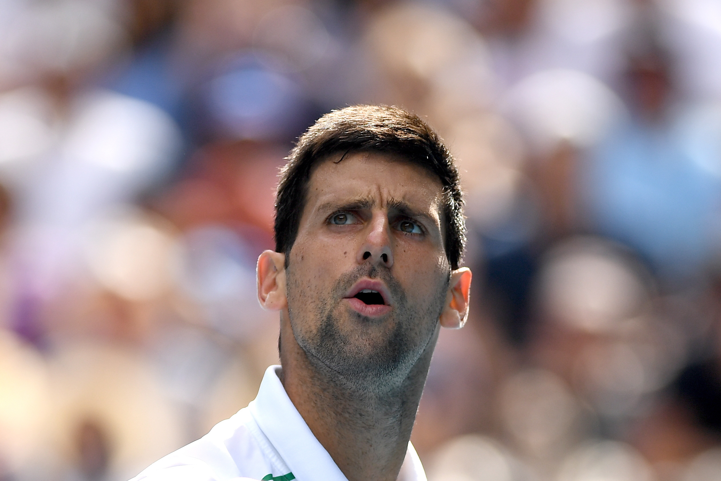 Novak Djokovic, n.º 1 do mundo, testa positivo para covid-19