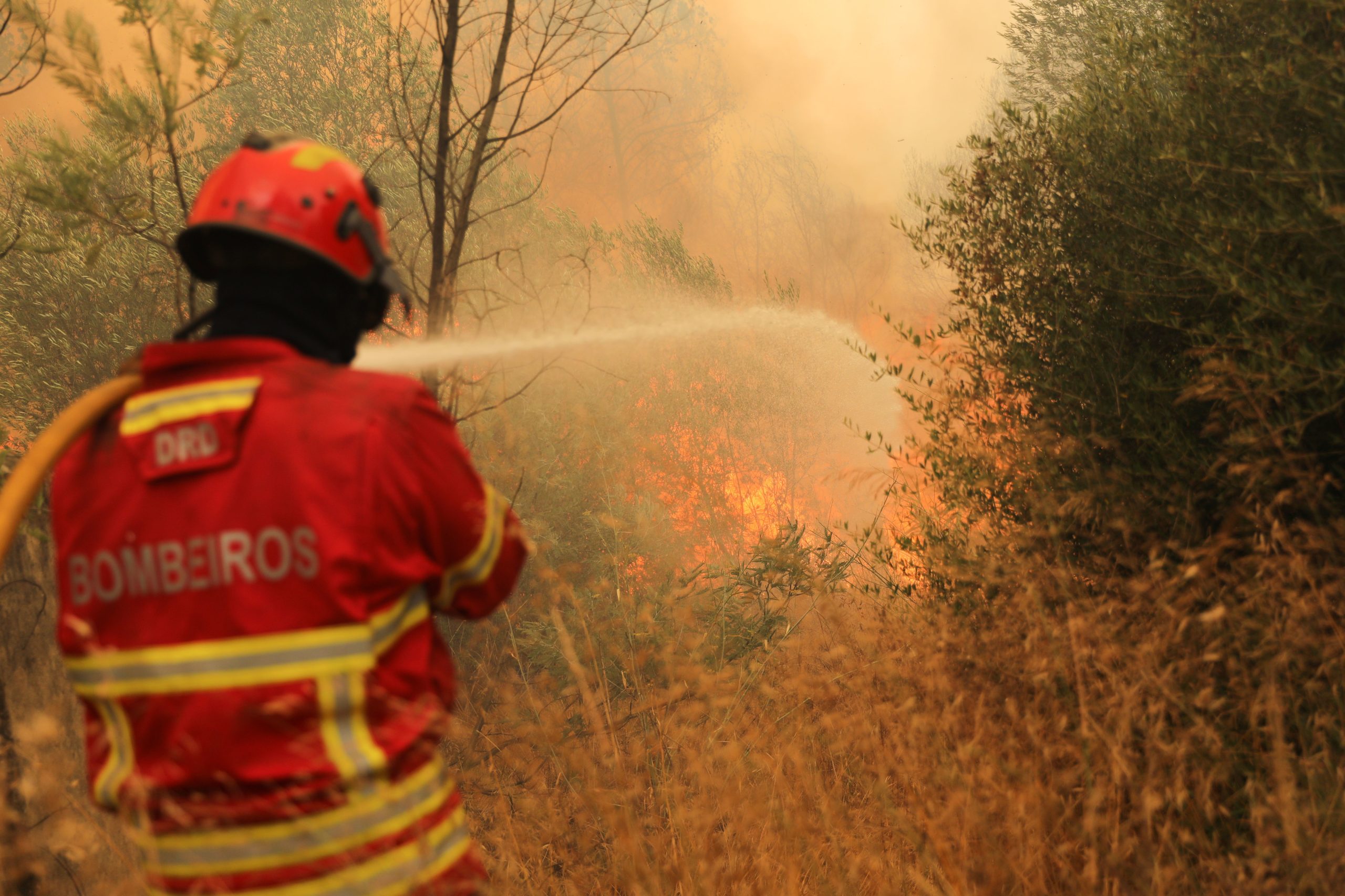 Em Portimão e Monchique contam-se prejuízos depois de 2.000 hectares ardidos