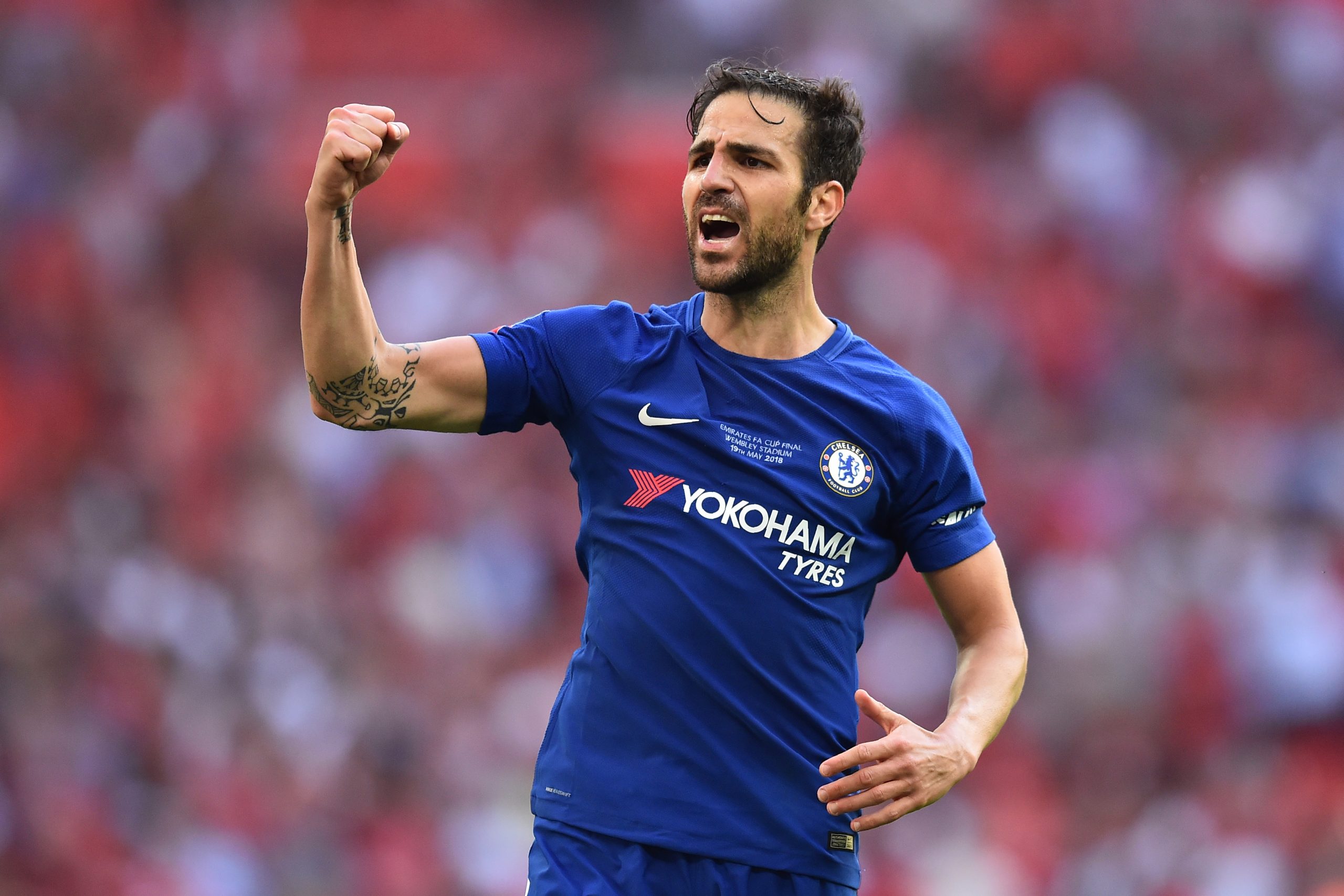 Cesc Fabregas confirmado no Mónaco