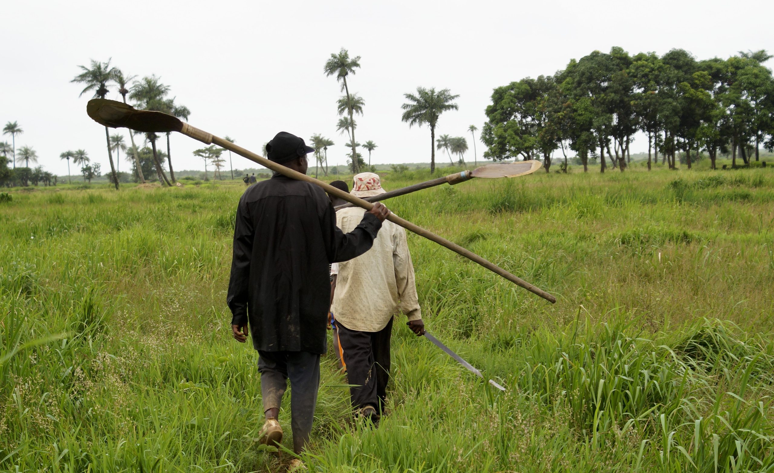 Estudo indica que desigualdade em África aumentou apesar do crescimento de 2000 a 2017