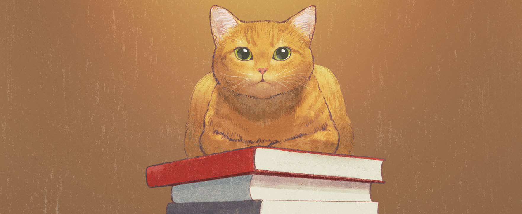 Excerto de “O Gato Que Salvava Livros”. Uma carta de amor à literatura