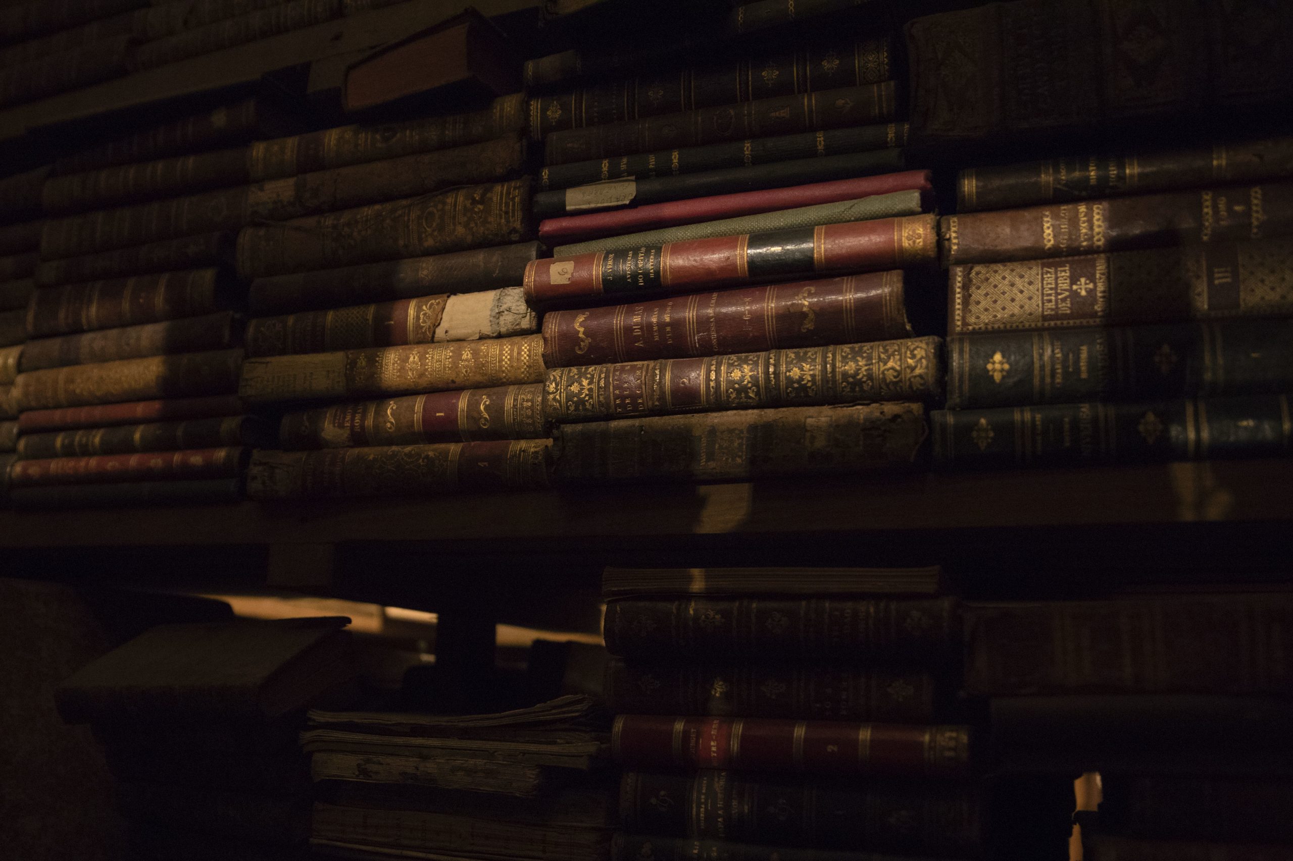 Poesia é “uma aposta forte” da Imprensa Nacional que inicia edição de audiolivros