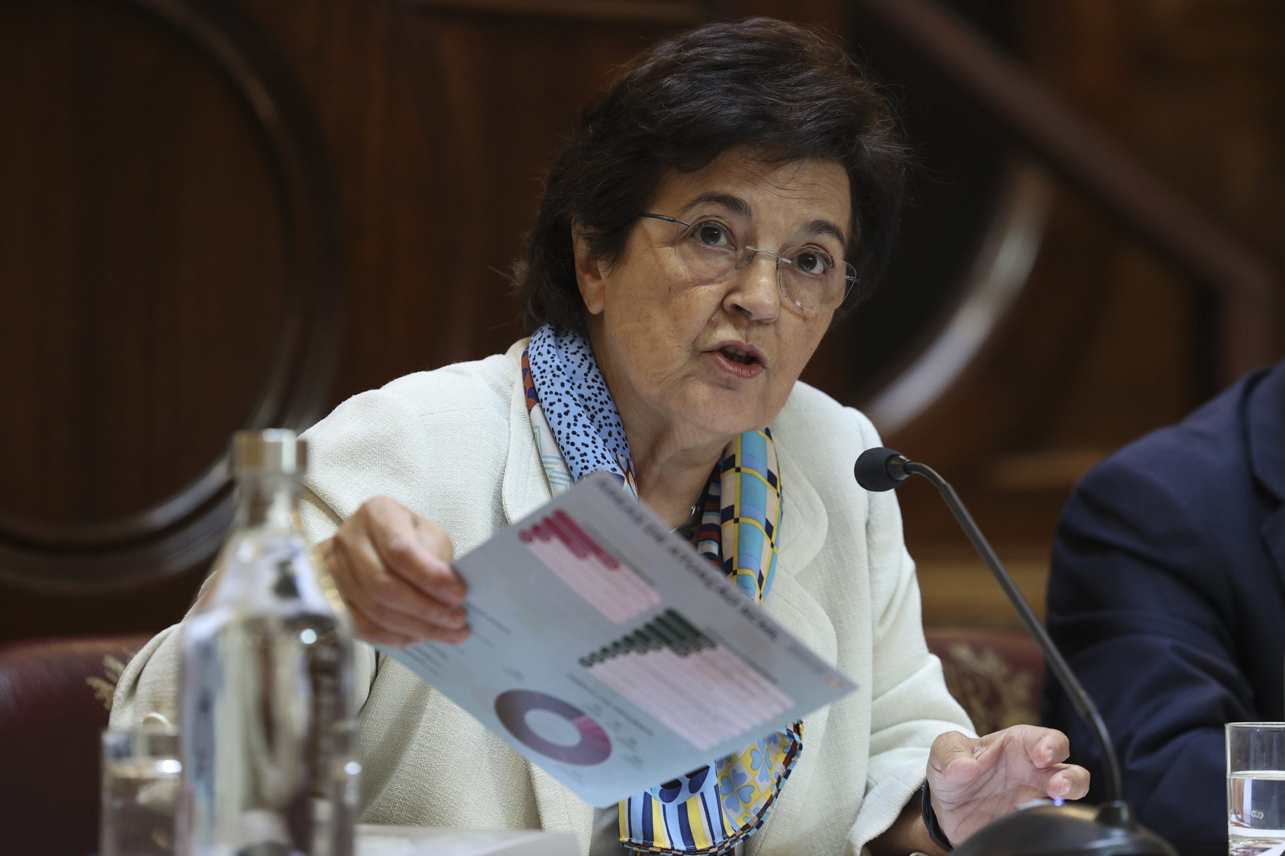 Governo acusa Ana Jorge de “atuações gravemente negligentes” na Santa Casa