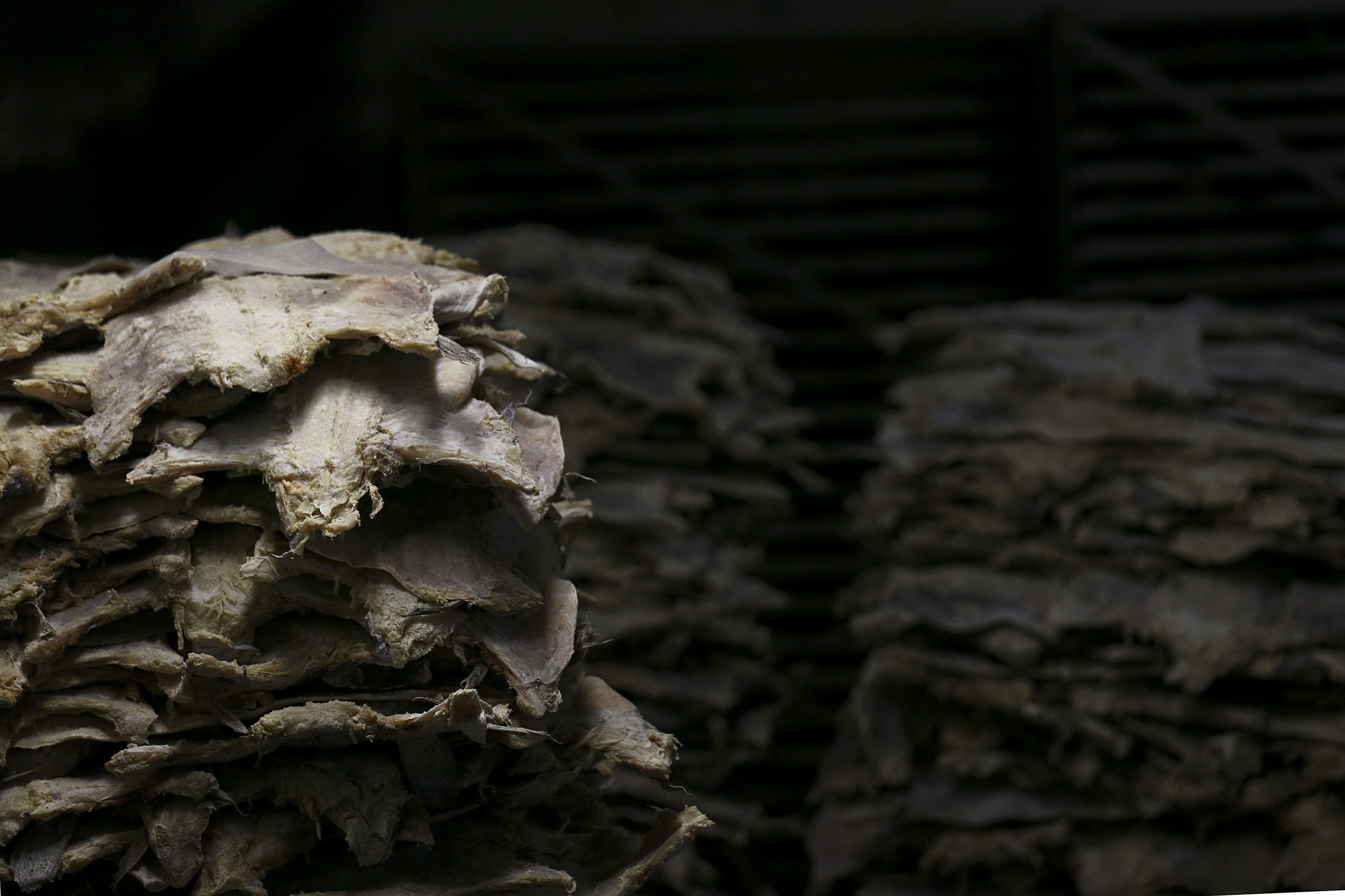 Consumo de bacalhau recua 3,4% até outubro mas deve chegar a um milhão de quilos no Natal