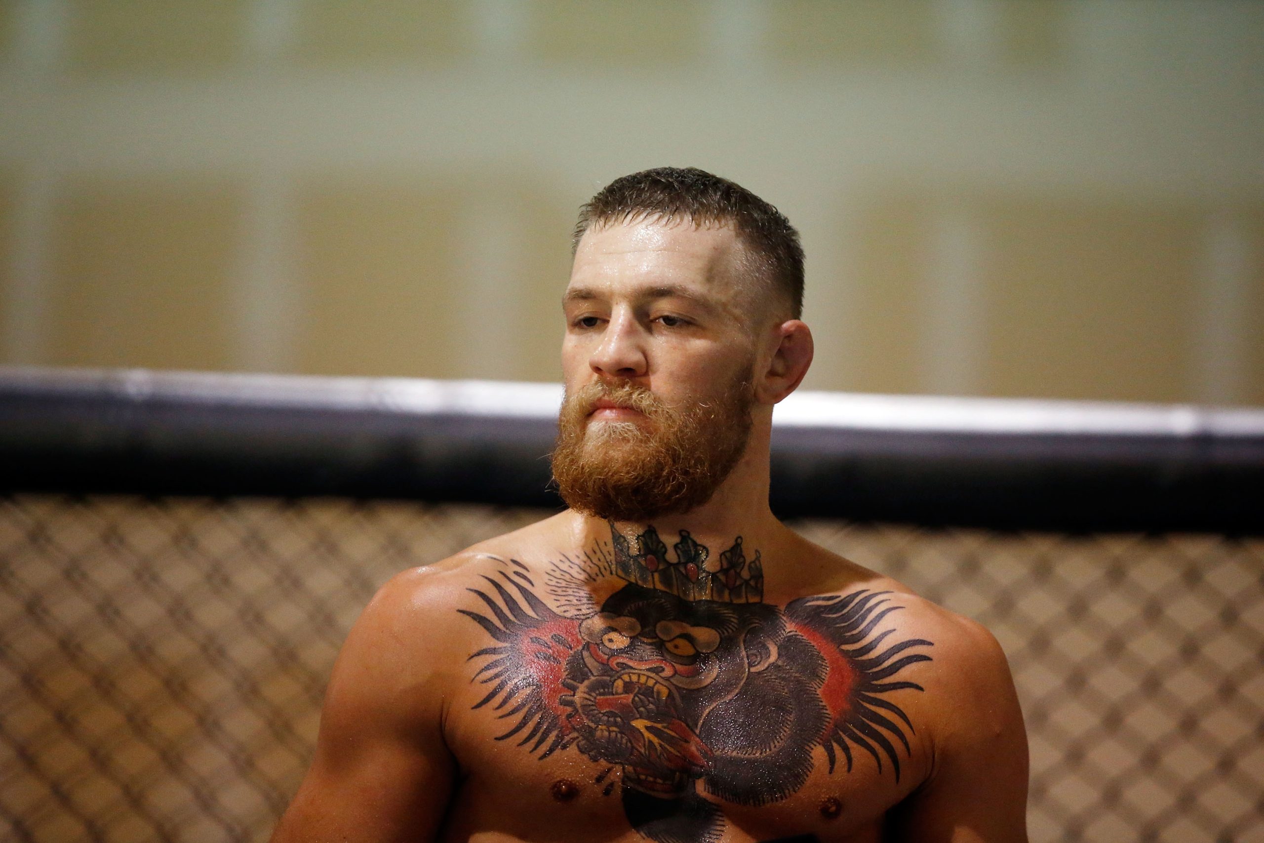 Lutador Conor McGregor declara-se culpado e evita prisão