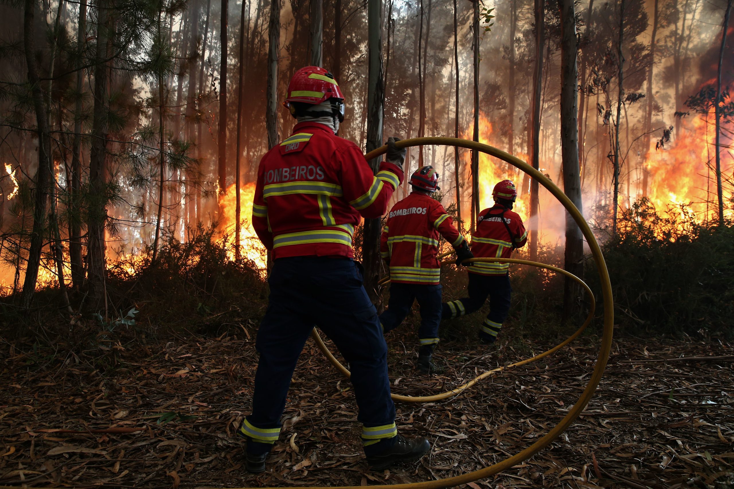Cinco meios aéreos e 125 operacionais combatem fogo em Valado dos Frades
