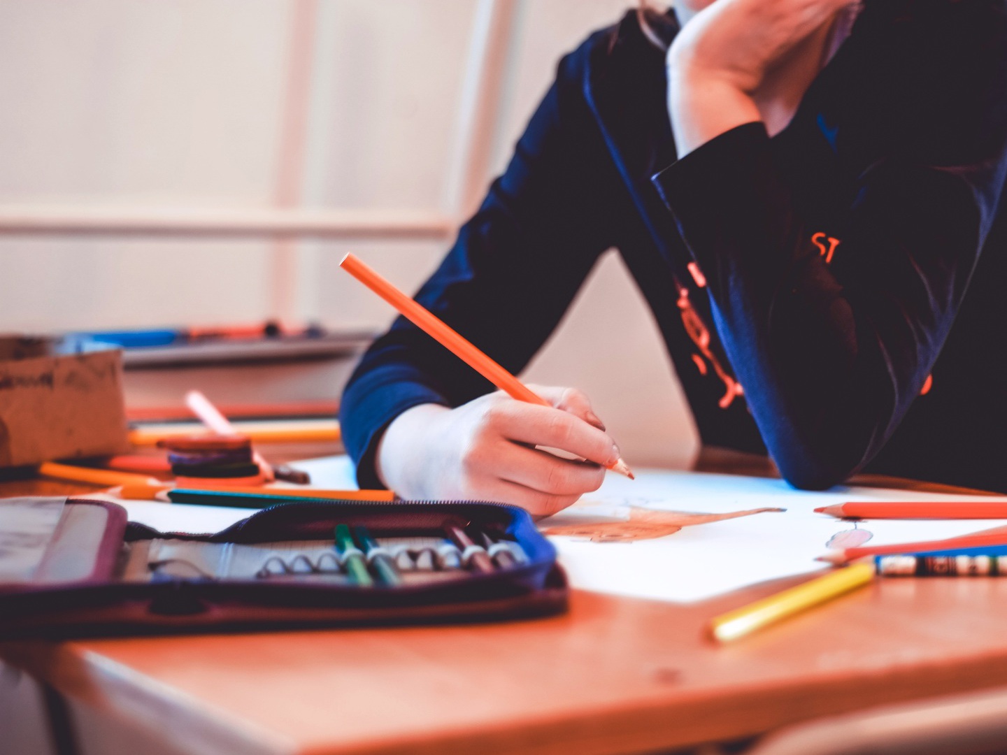 Tribunal de Contas: Escolas com autonomia cumprem menos de 40% dos objetivos definidos