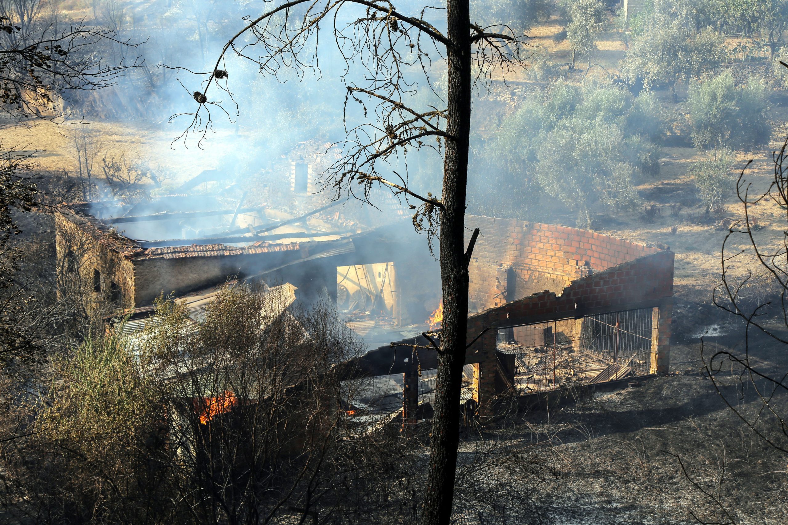 Oleiros continua à espera de resposta do Governo sobre funcionário que morreu nos incêndios