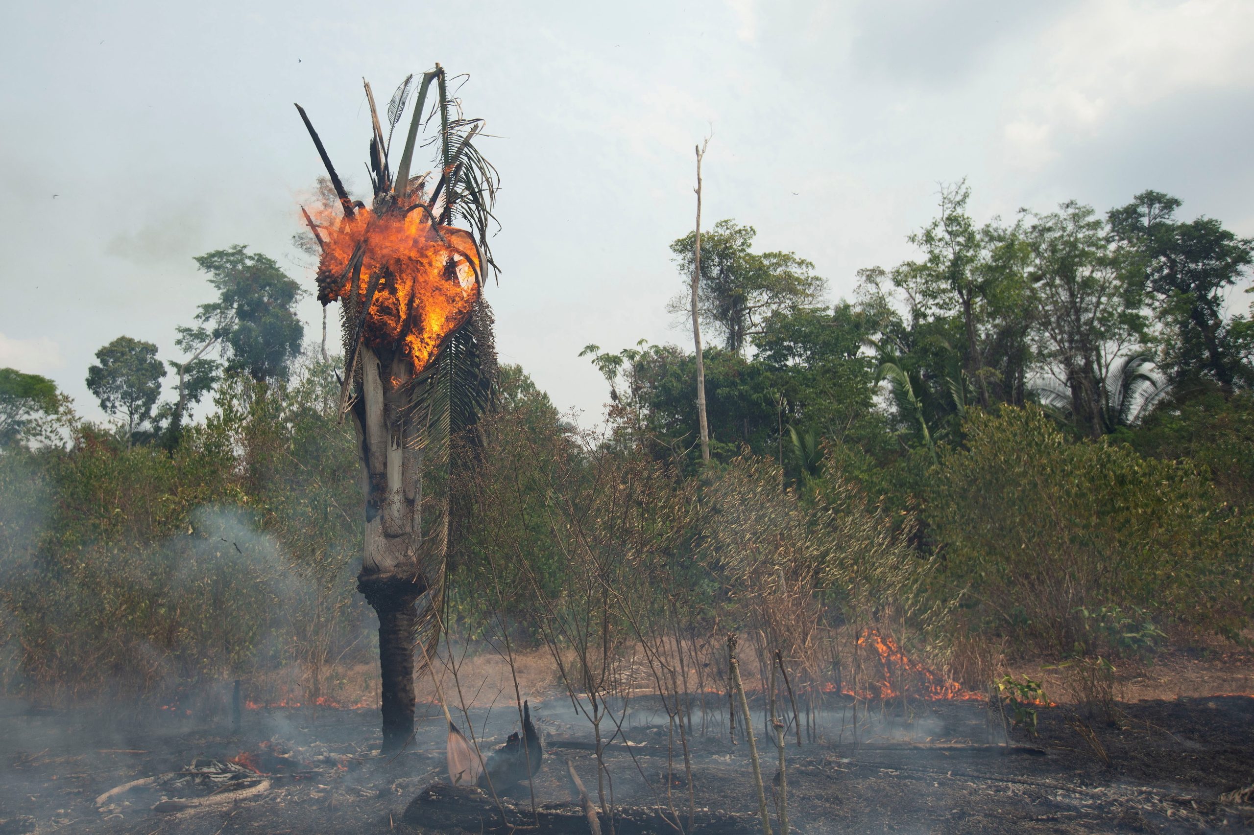 Argentina vai enviar 200 bombeiros para ajudar no combate aos incêndios na Amazónia