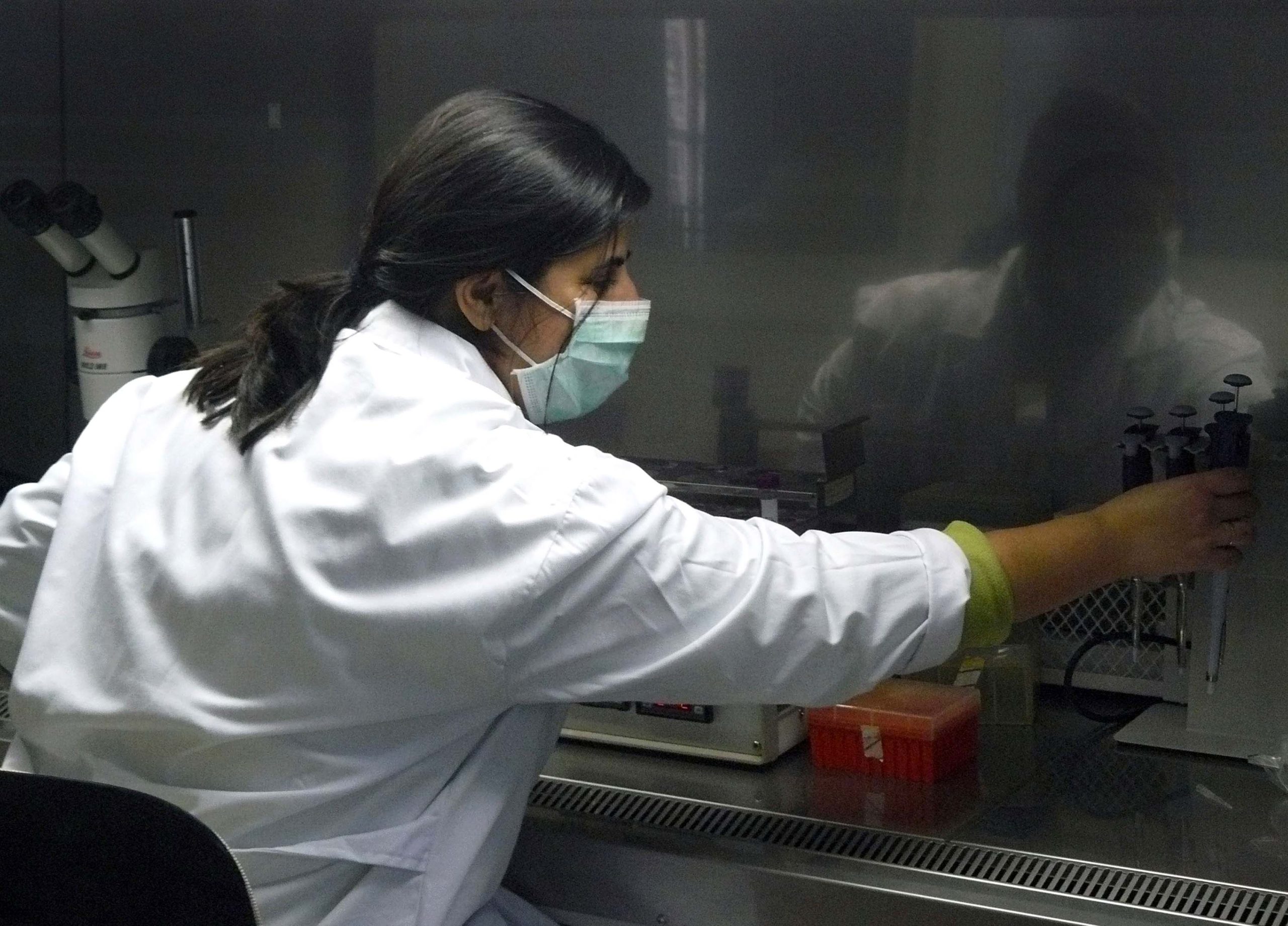 Investigadores do Porto desenvolvem método para entender melhor paramiloidose