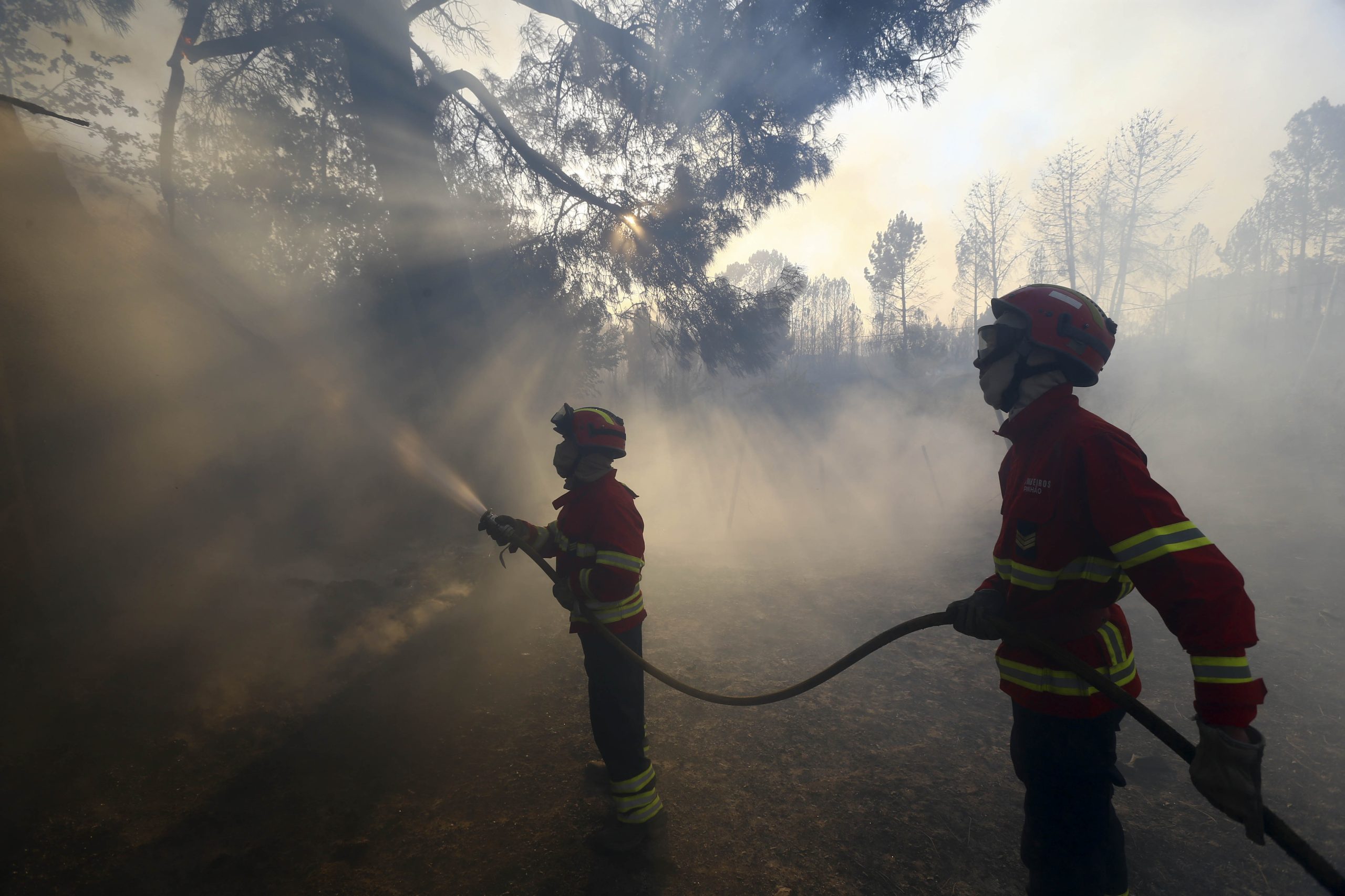 Incêndios: Autoestrada 25 reaberta à circulação junto à Guarda