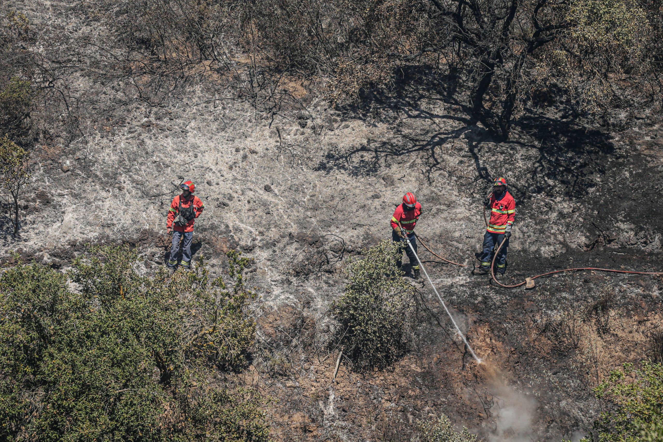 Incêndios: Fogo no Sabugal está em fase de resolução