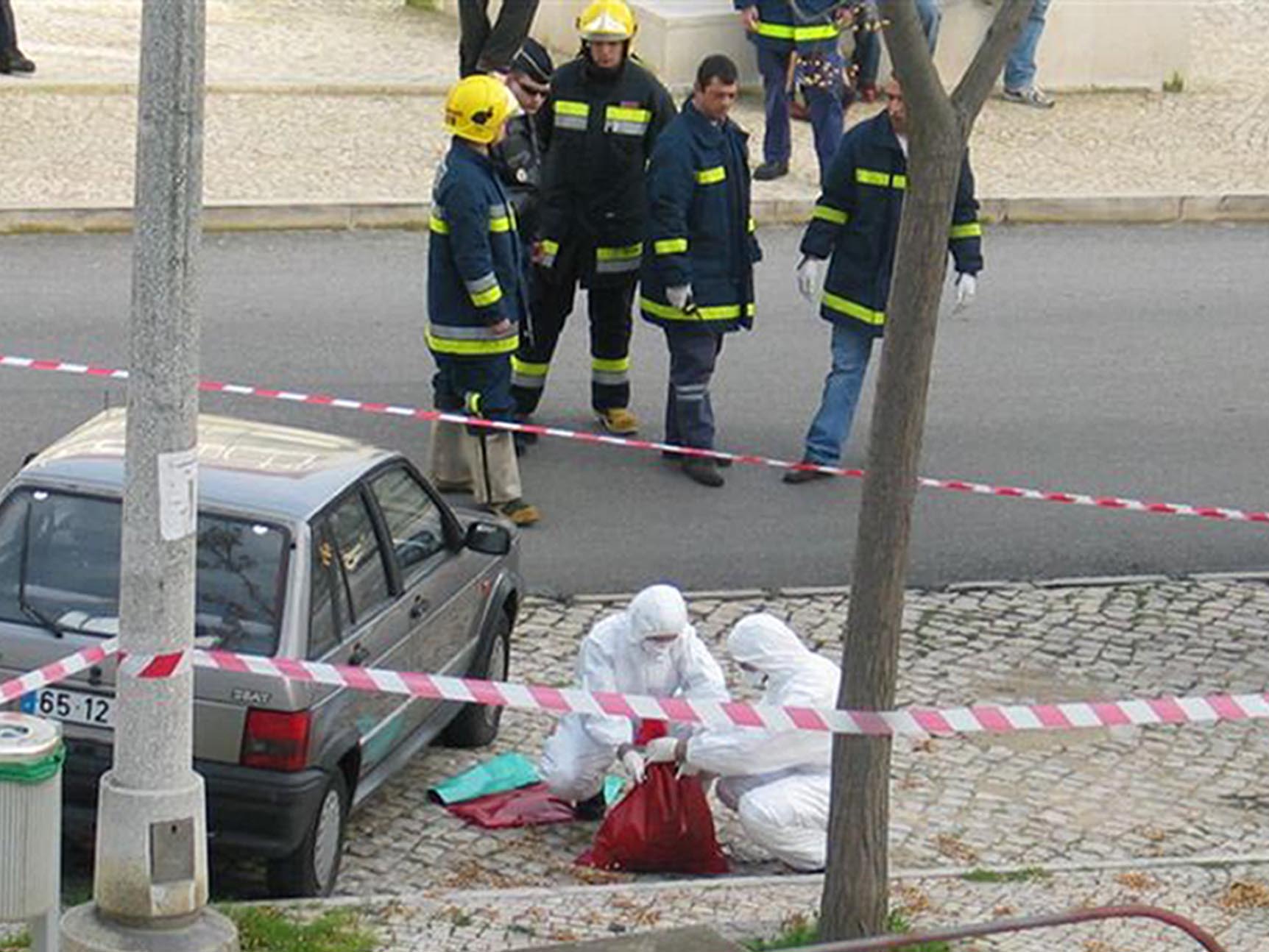 Saúde: Novo foco de gripe das aves detetado em Beja